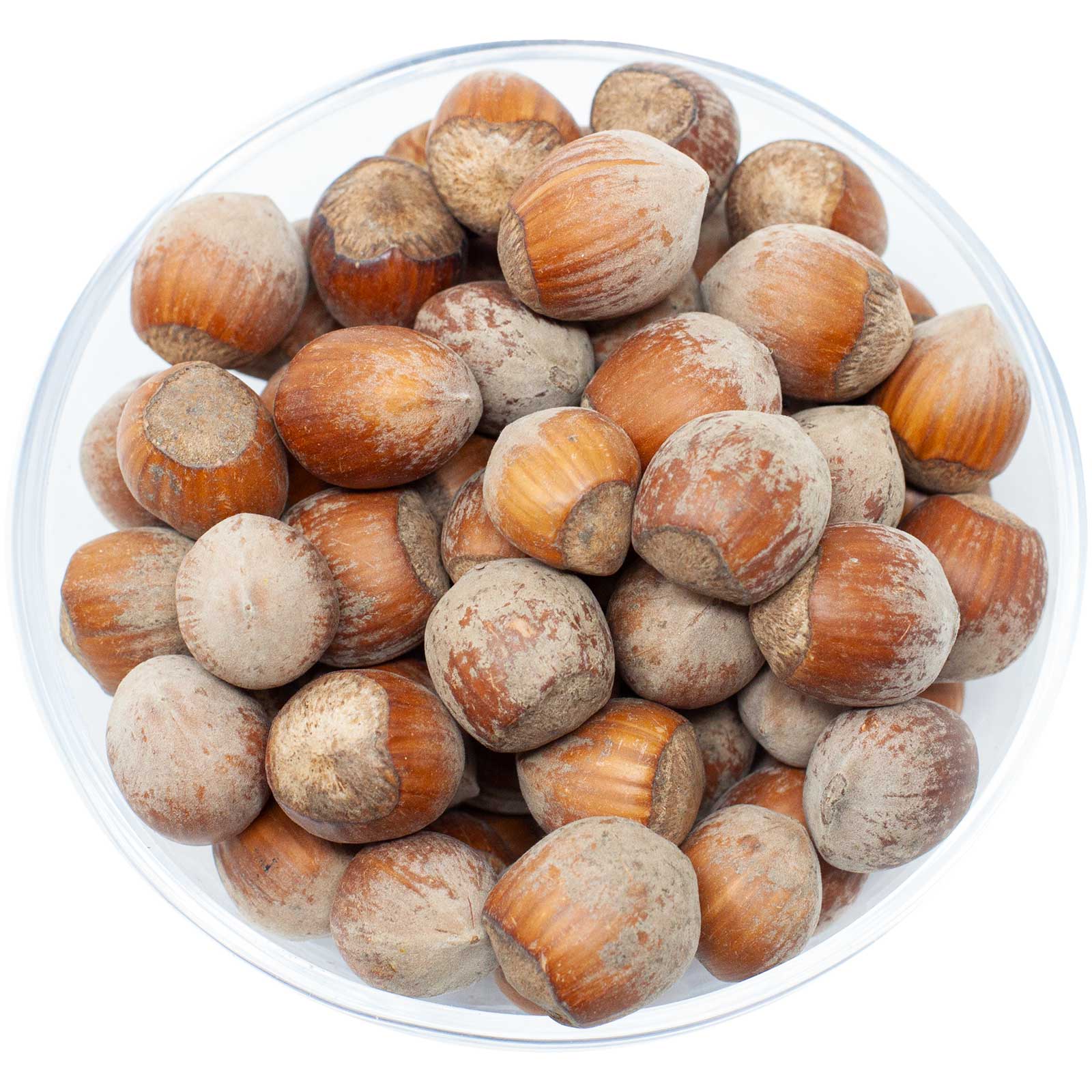 Leimüller Hazelnuts with Shell 1 kg