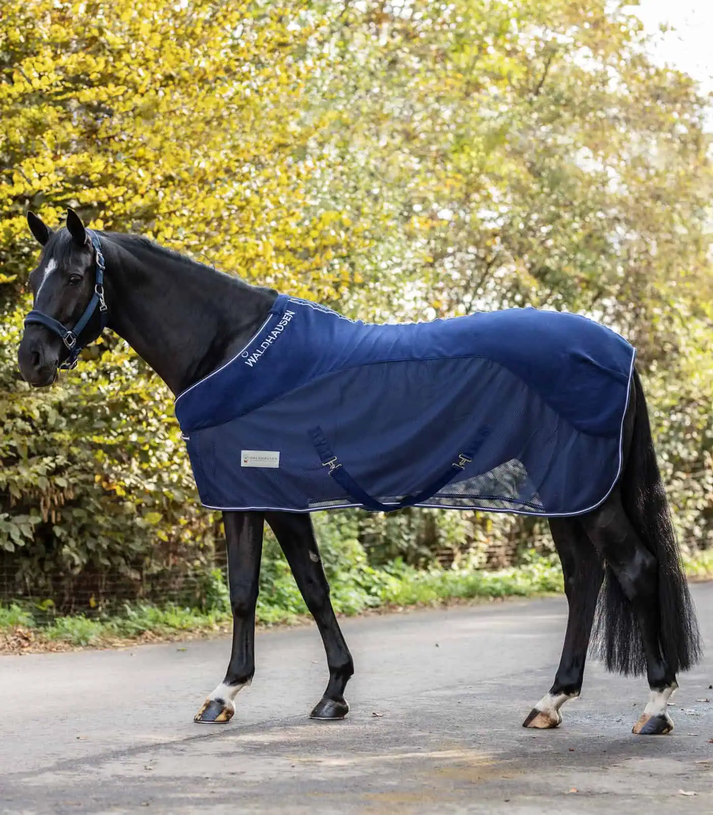 COMFORT Fleece Fly Rug night blue 135