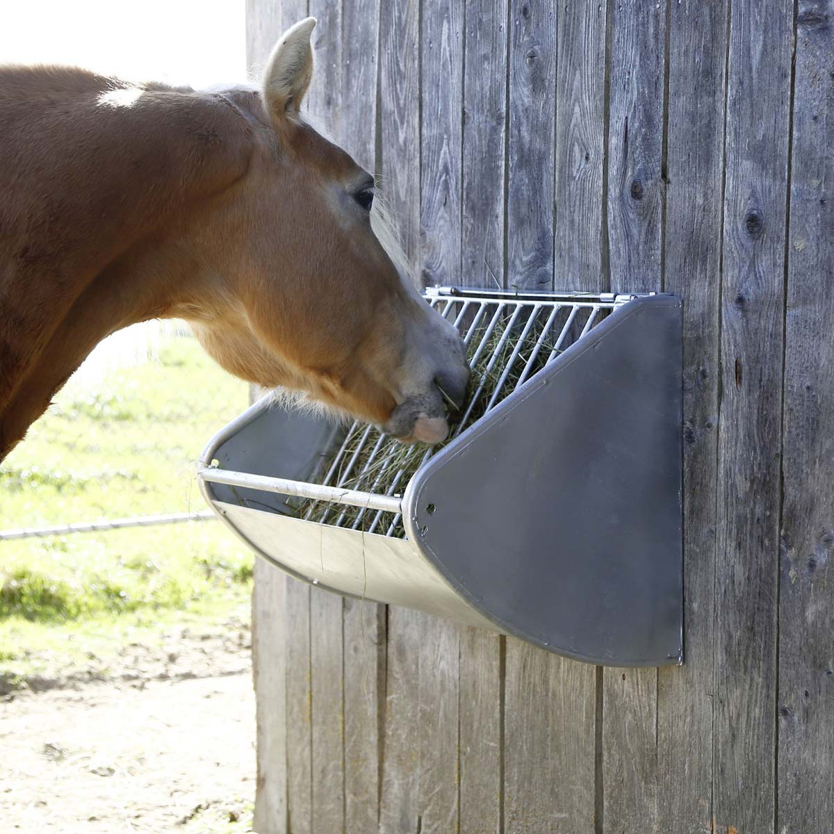 Feed Storage Rack Metal for horses