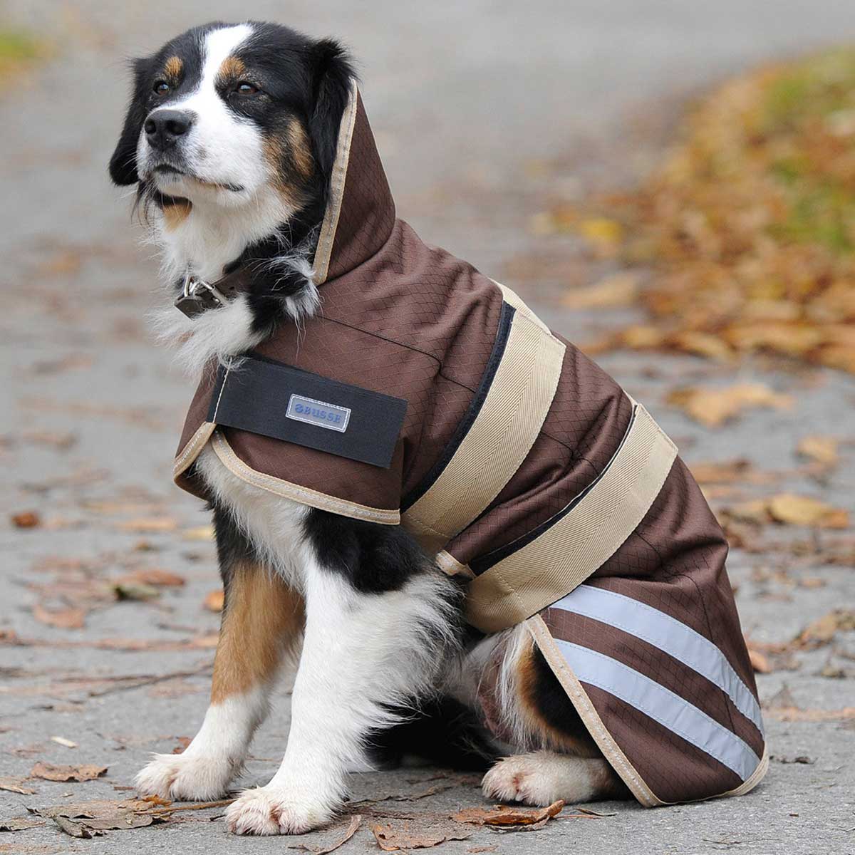 BUSSE dog raincoat MOVE
