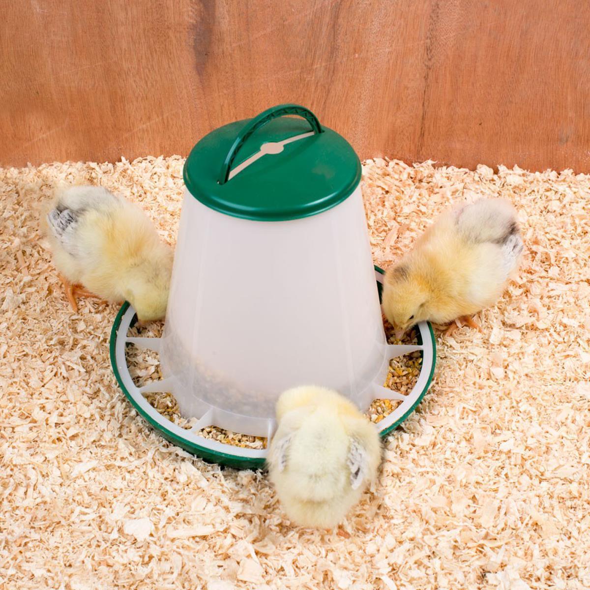 Poultry feeder with green lid 1 kg