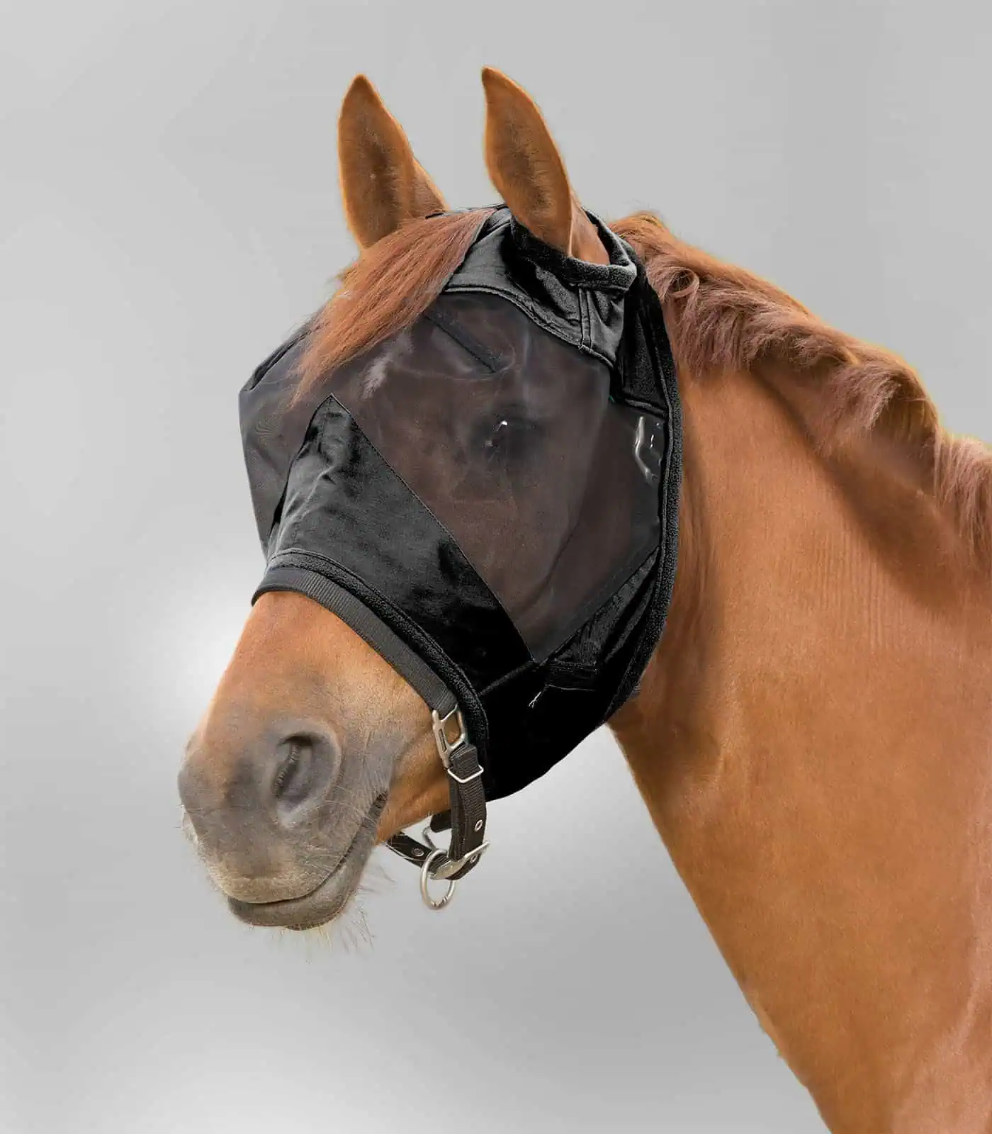 PREMIUM Fly Mask without ear protection black FULL