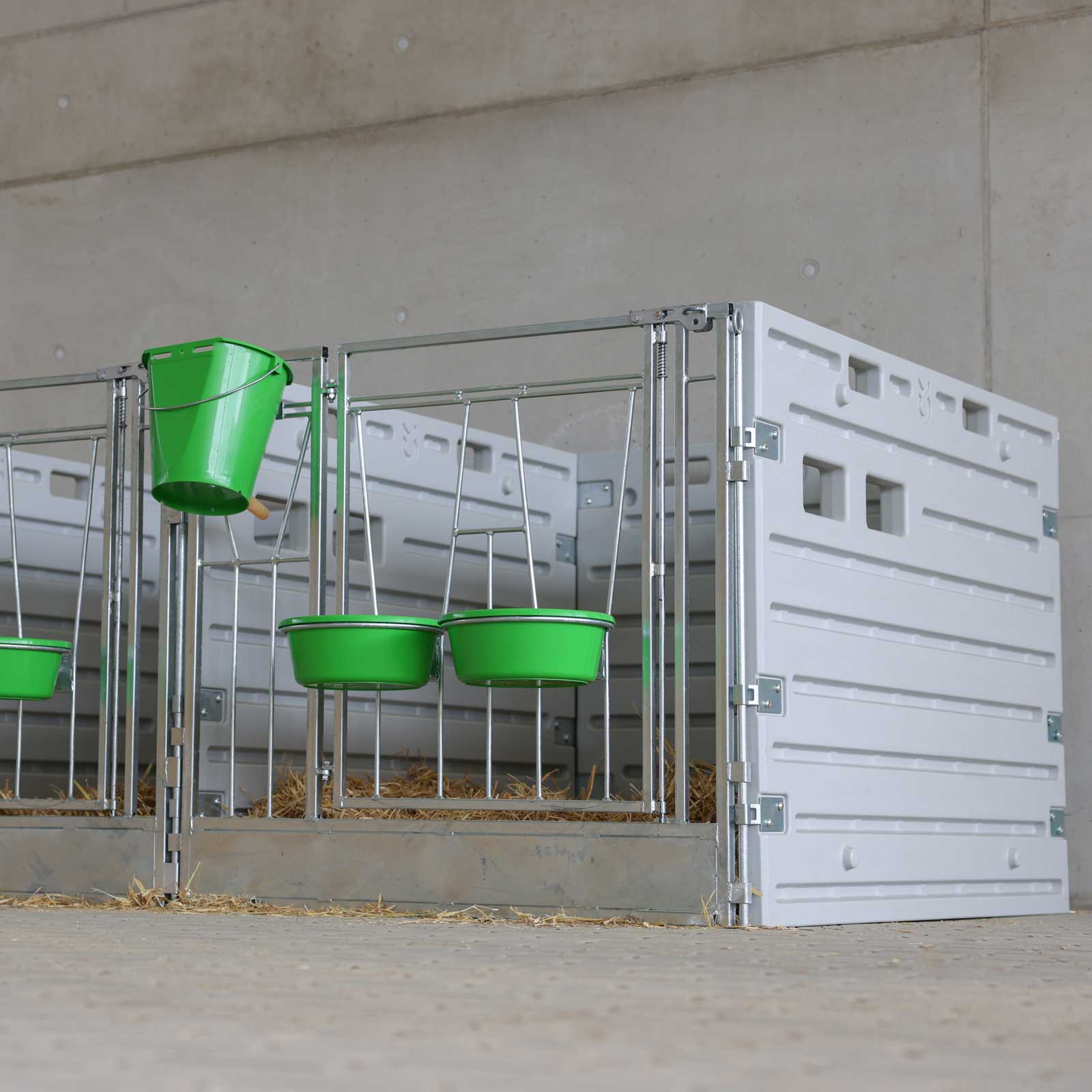 Modular calf box single box free standing