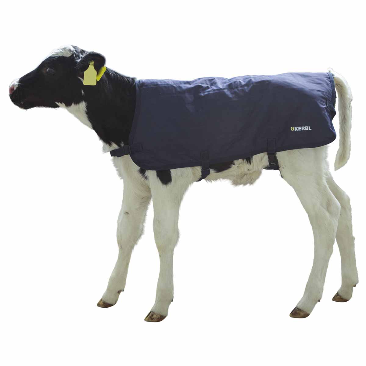 Calf Blanket EasyWear