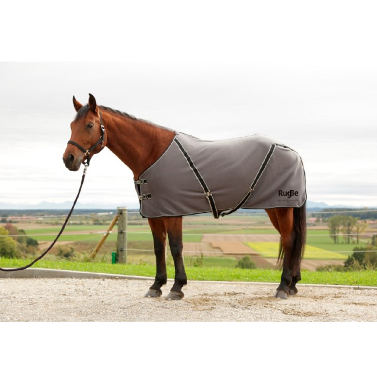 RugBe Classic Cooler Rug anthracite / black 145