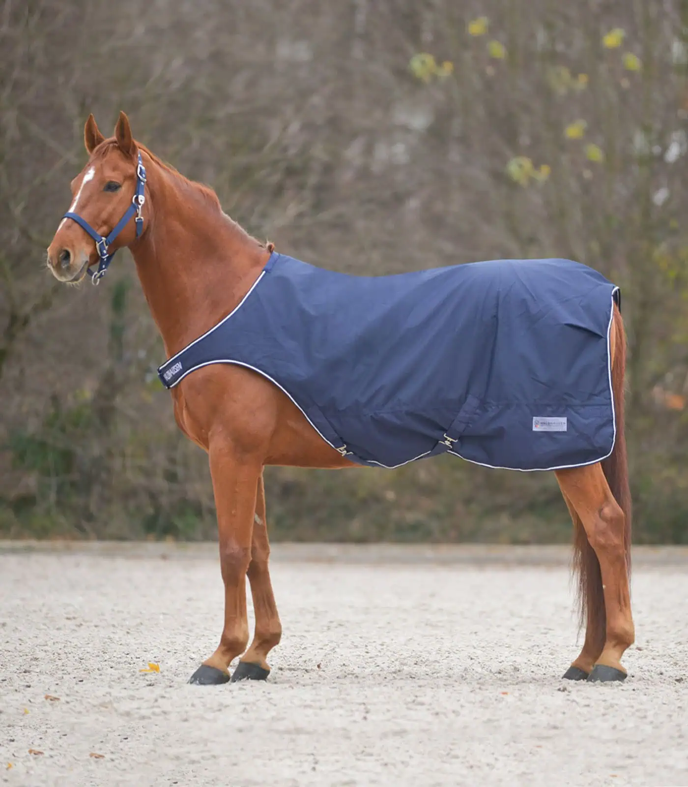 COMFORT Horsewalker Rug, 100 g night blue 135