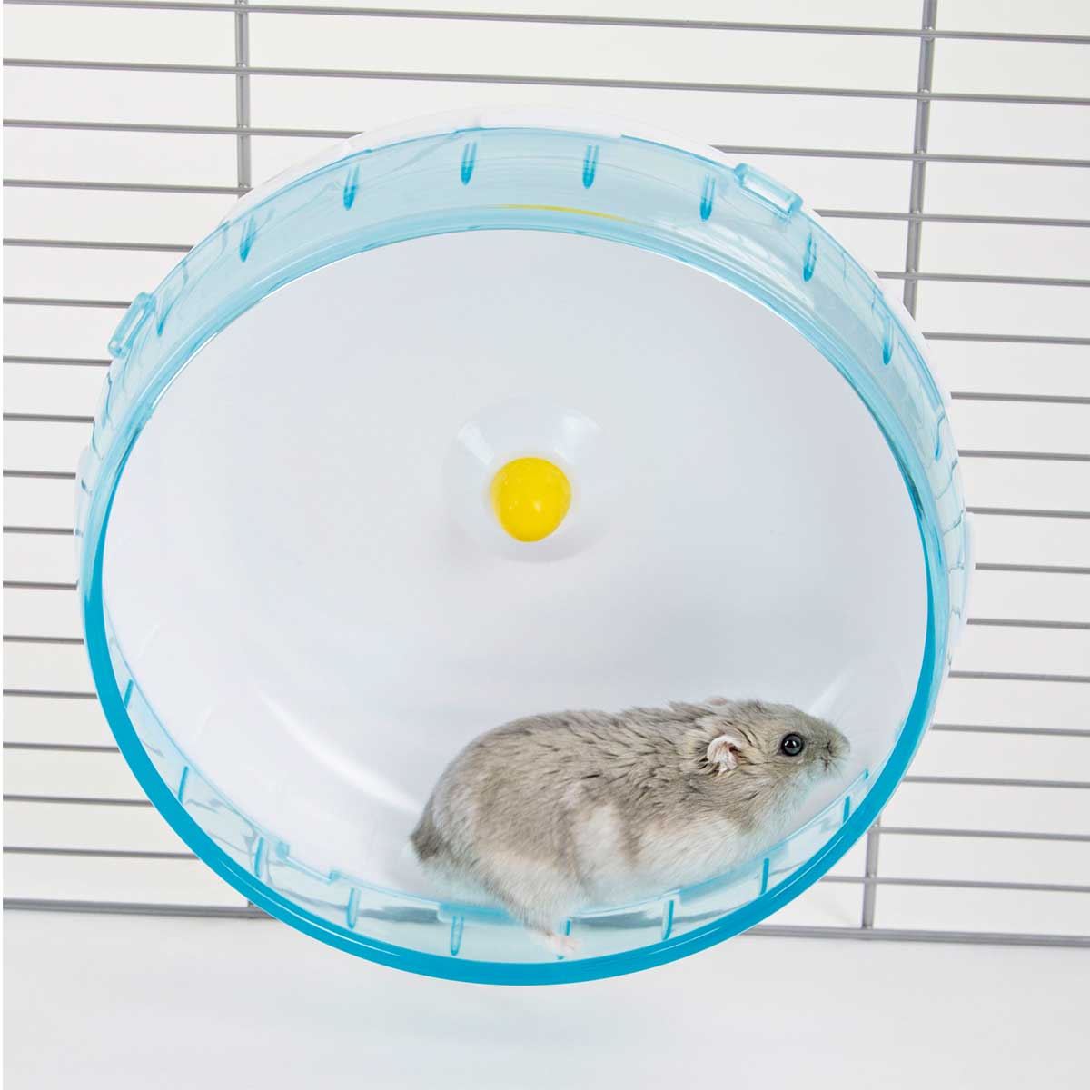 Hamster Wheel ø 20 cm x 8 cm plastic