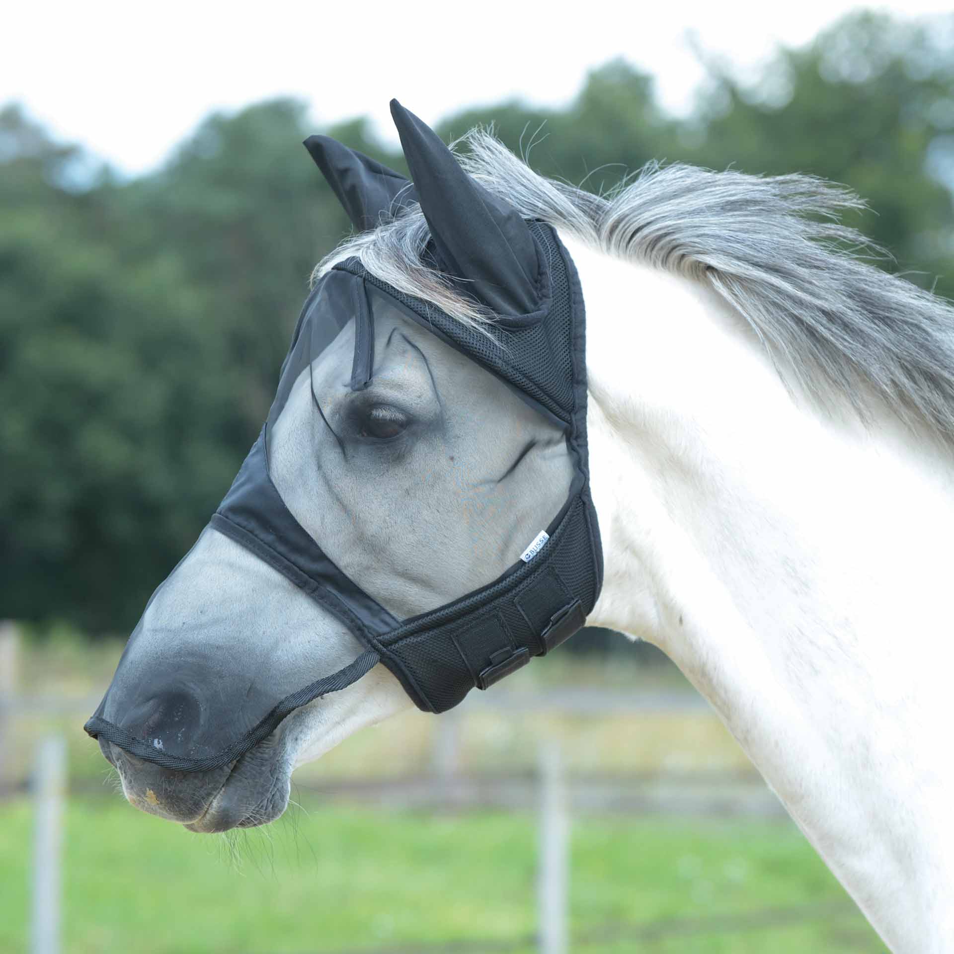 BUSSE Fly Mask FLY COVER PRO GAP II Shetty black