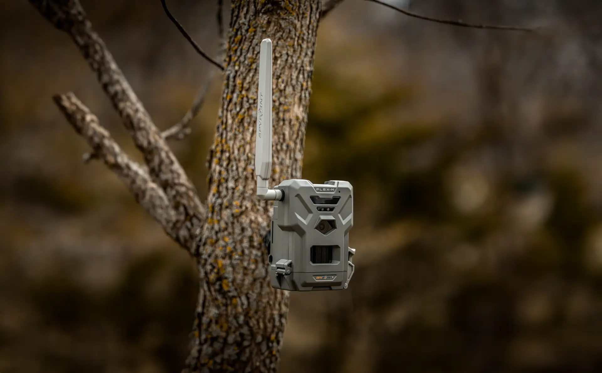 Spypoint Trail Camera FLEX-M Twin Pack