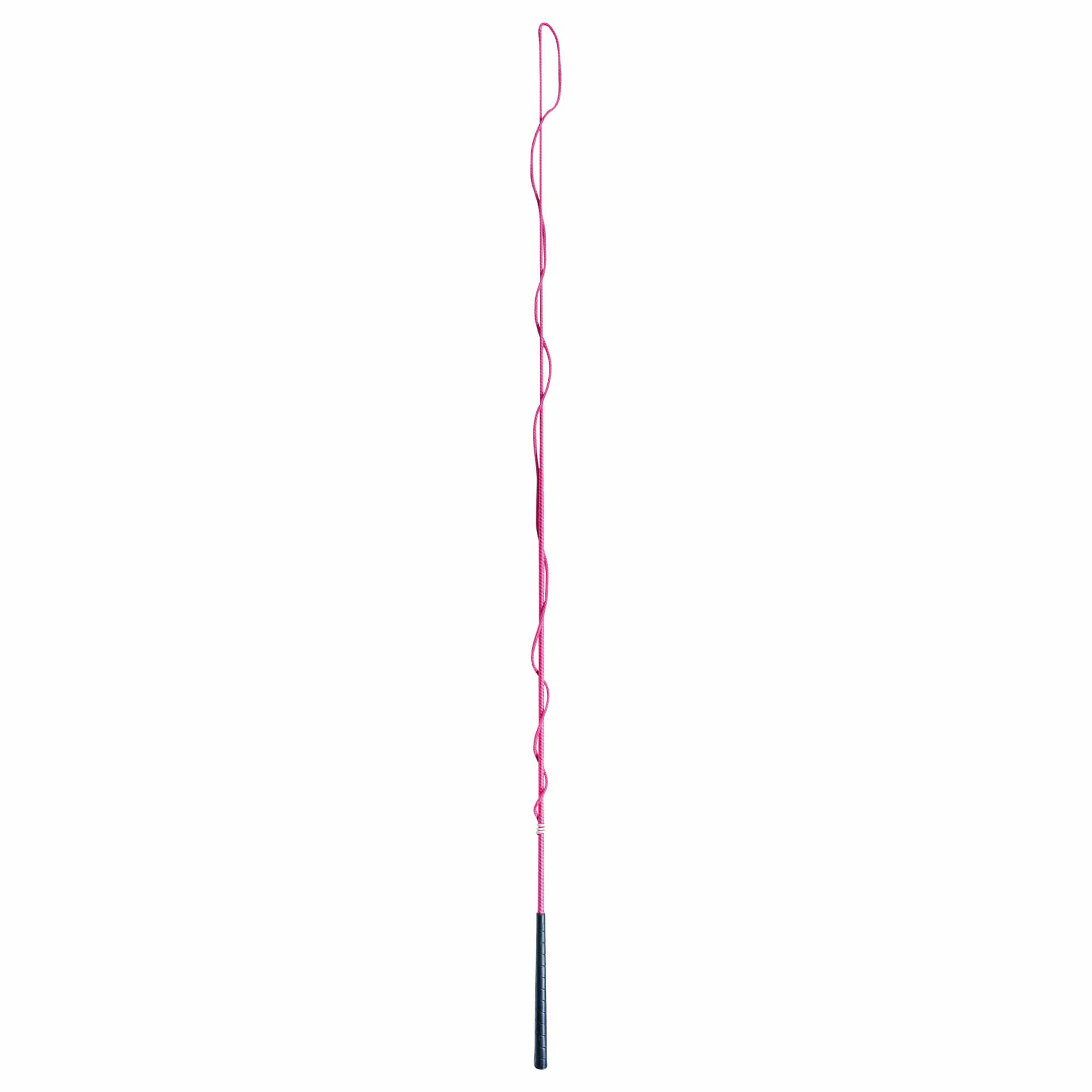 BUSSE Lunging Whip REFLEX 180 pink/raspberry