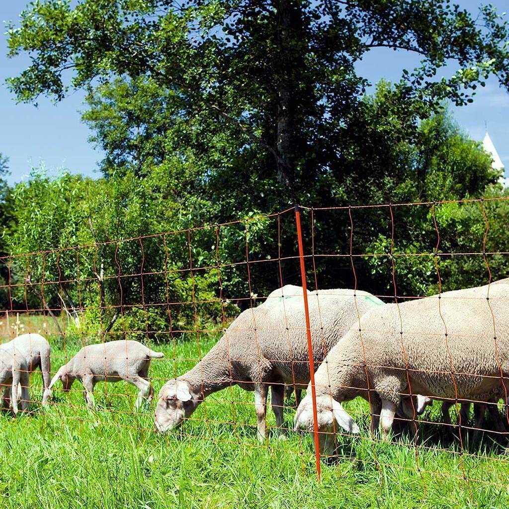 Agrarzone sheep fence set DUO 3000 12V/230V, 4,5J, net 50m x 90cm, orange