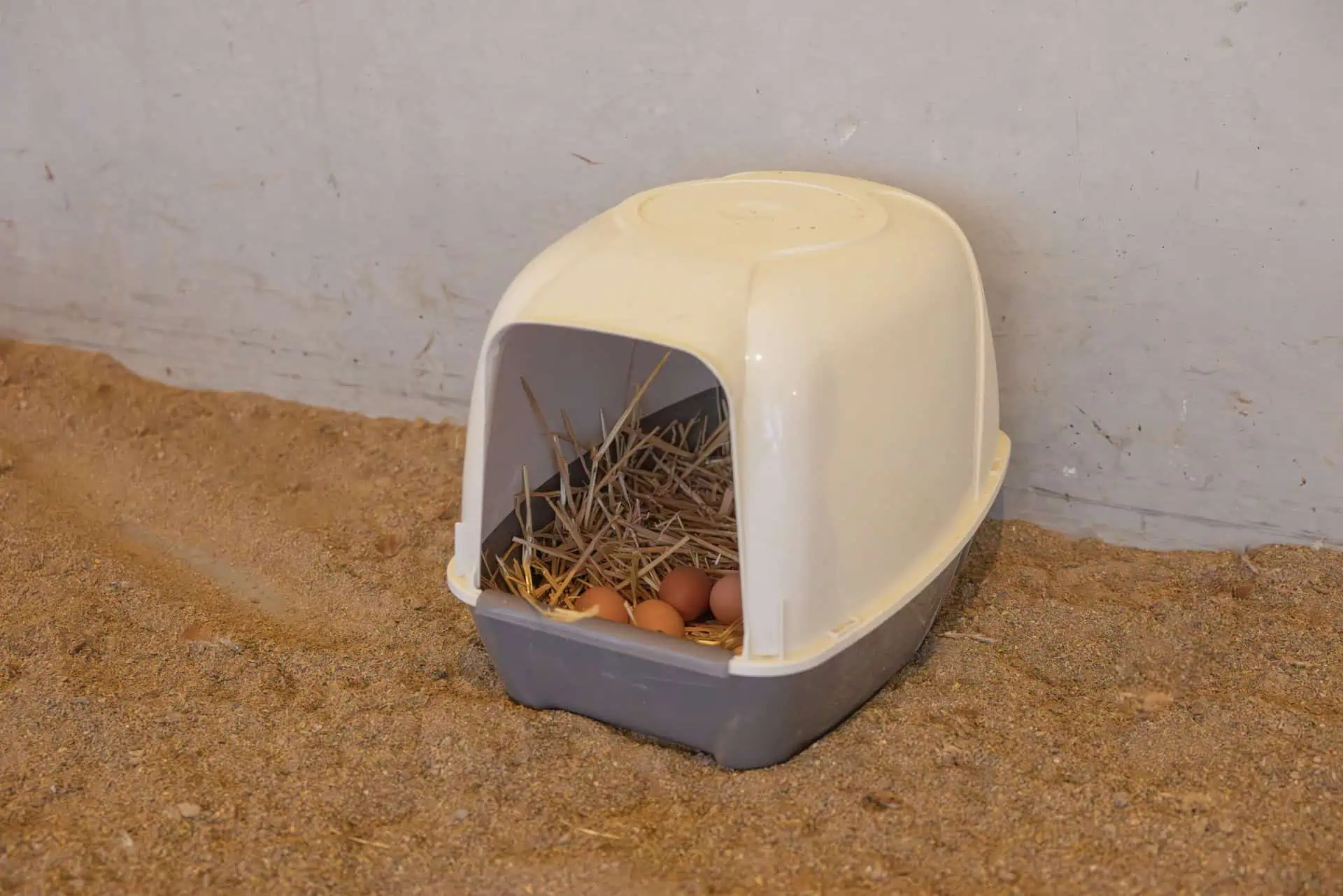 Laying Nest for Chickens