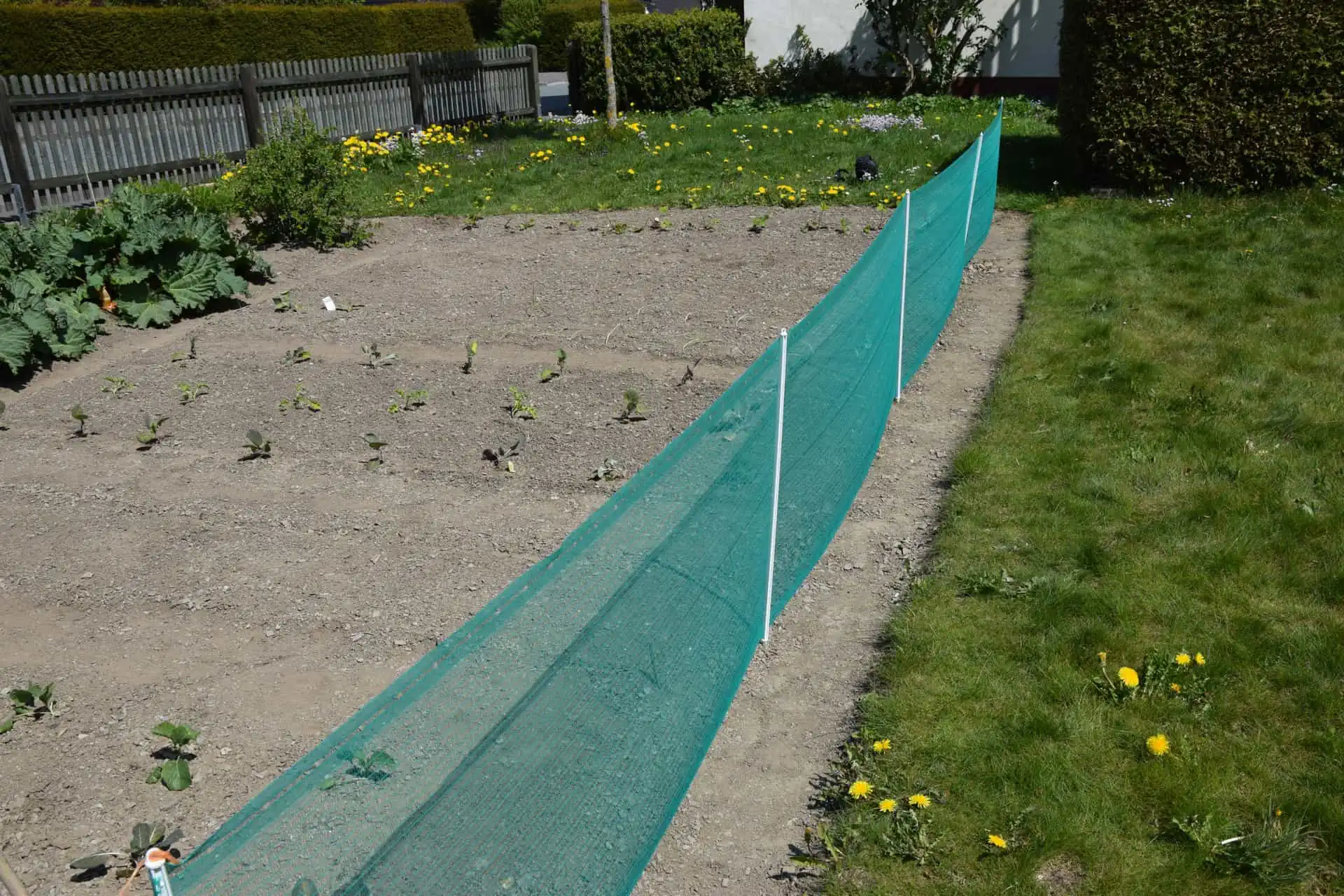 Universal Fence, 20 m, green