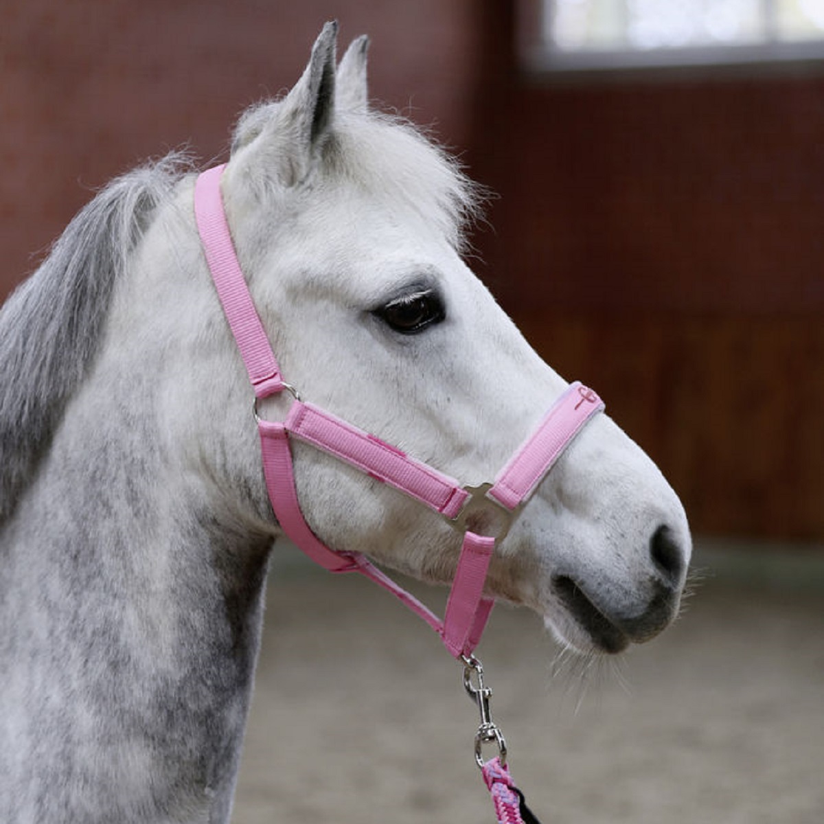 Headcollar-Set Lilli Starlight with Lead Rope Pony