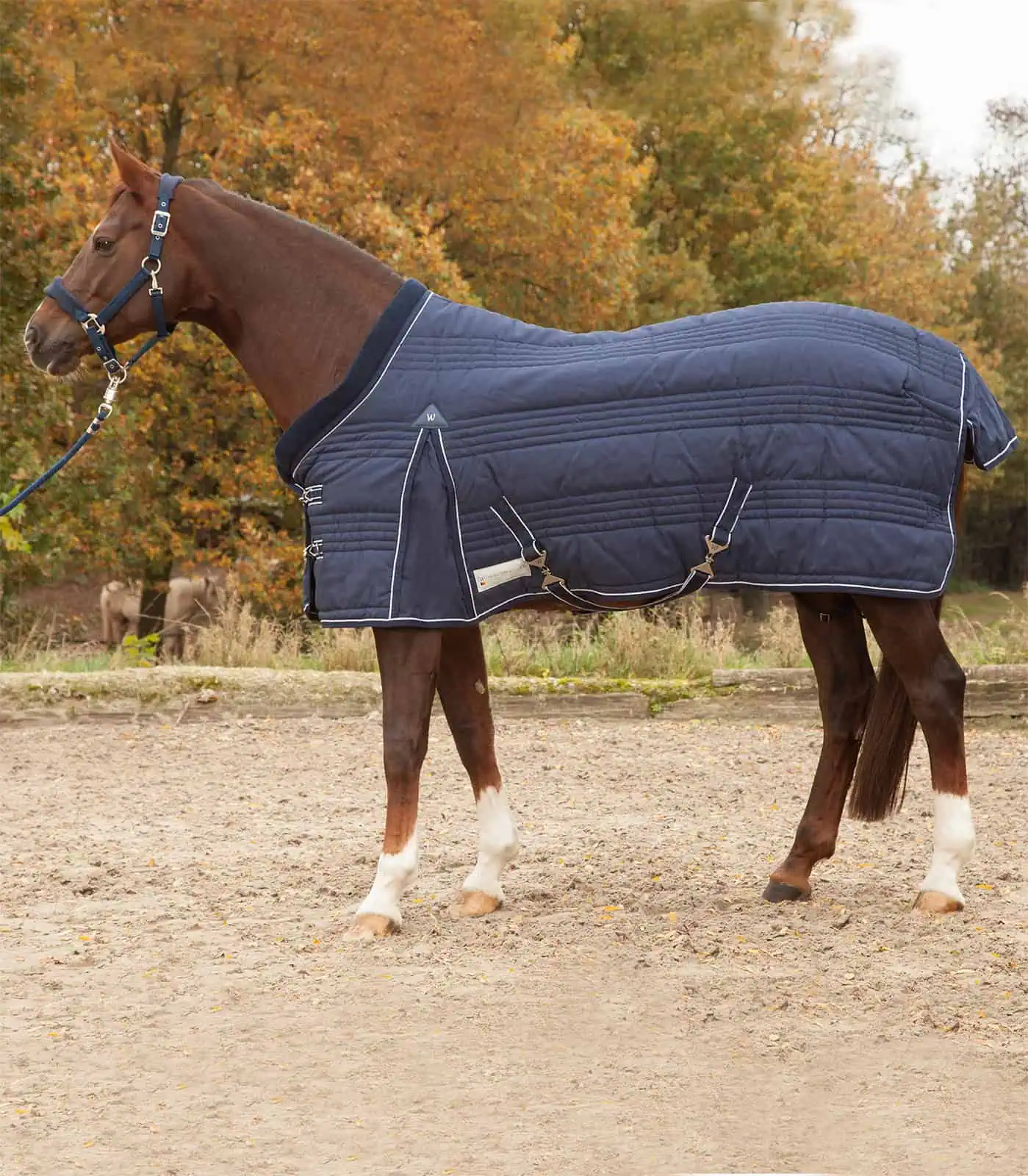 COMFORT Stable Rug, 300 g night blue 125