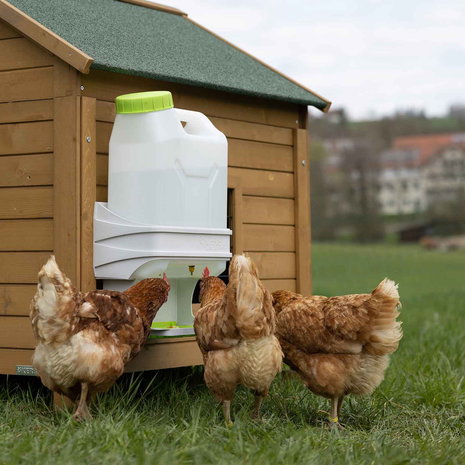 SmartCoop Poultry Drinker 10 litre