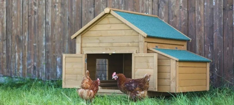 Poultry House