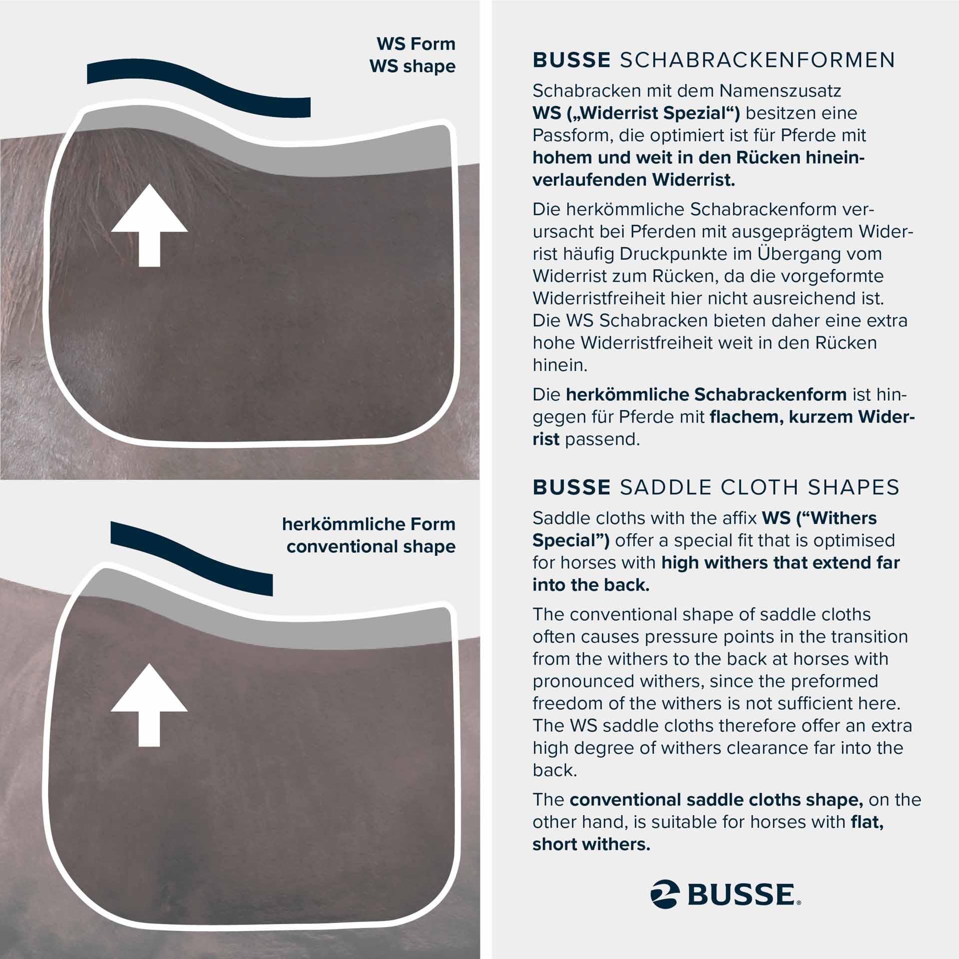 BUSSE Saddle Cloth BELANI WS COB/FULL-VS white