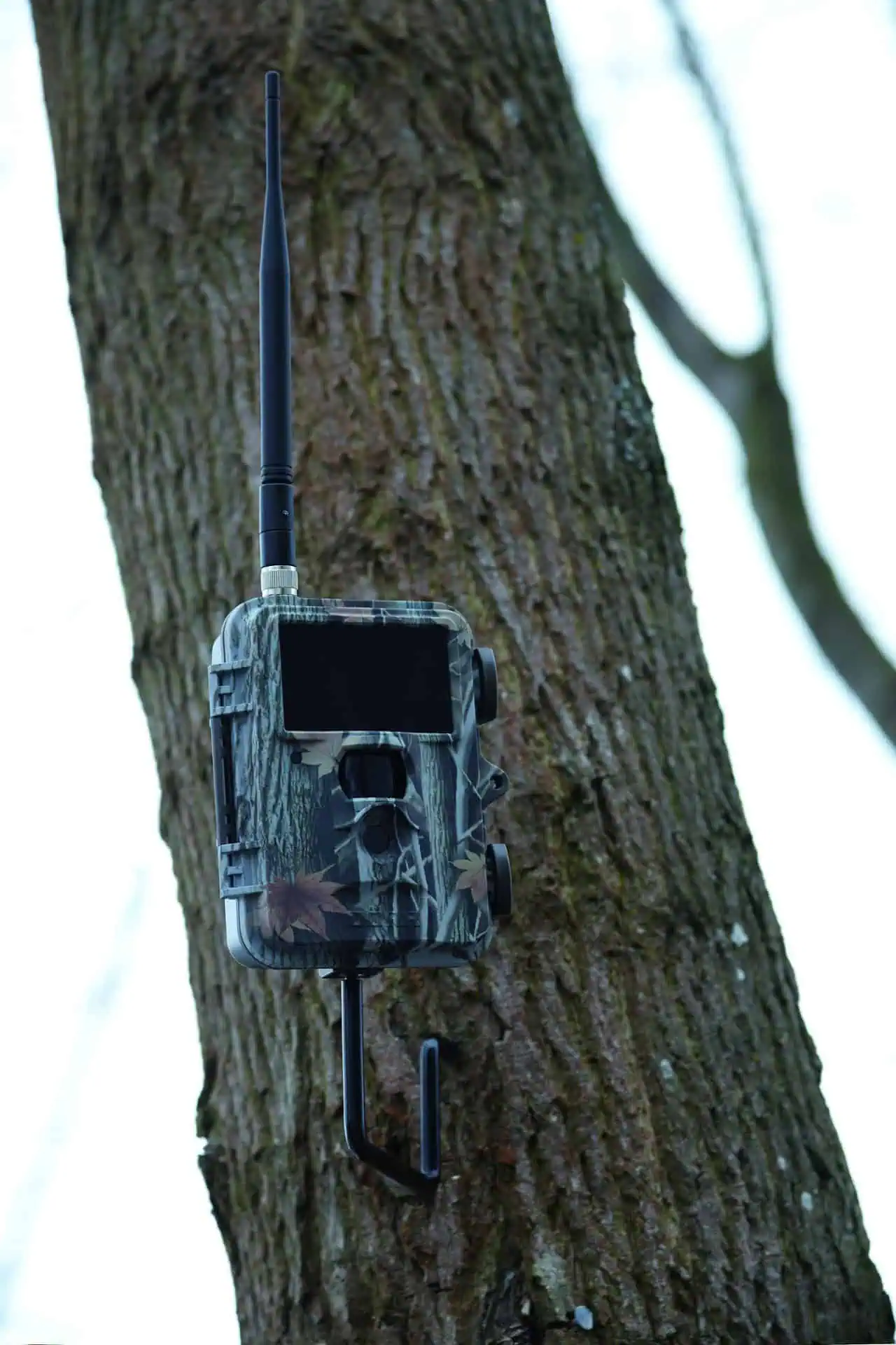 Tree screw 1/4" for surveillance cameras