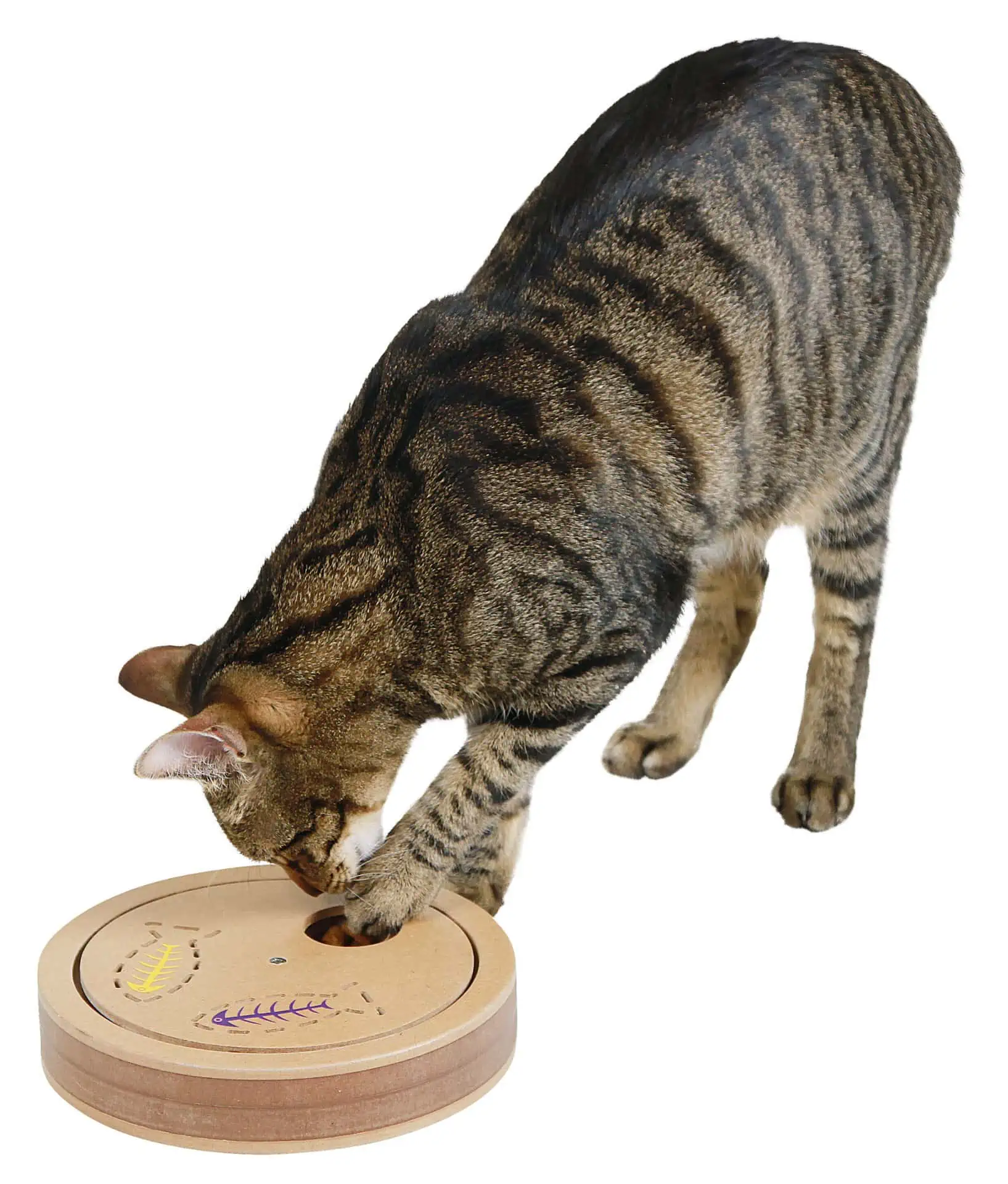 Thinking and Learning Toy Exciting for cats ø20x9cm