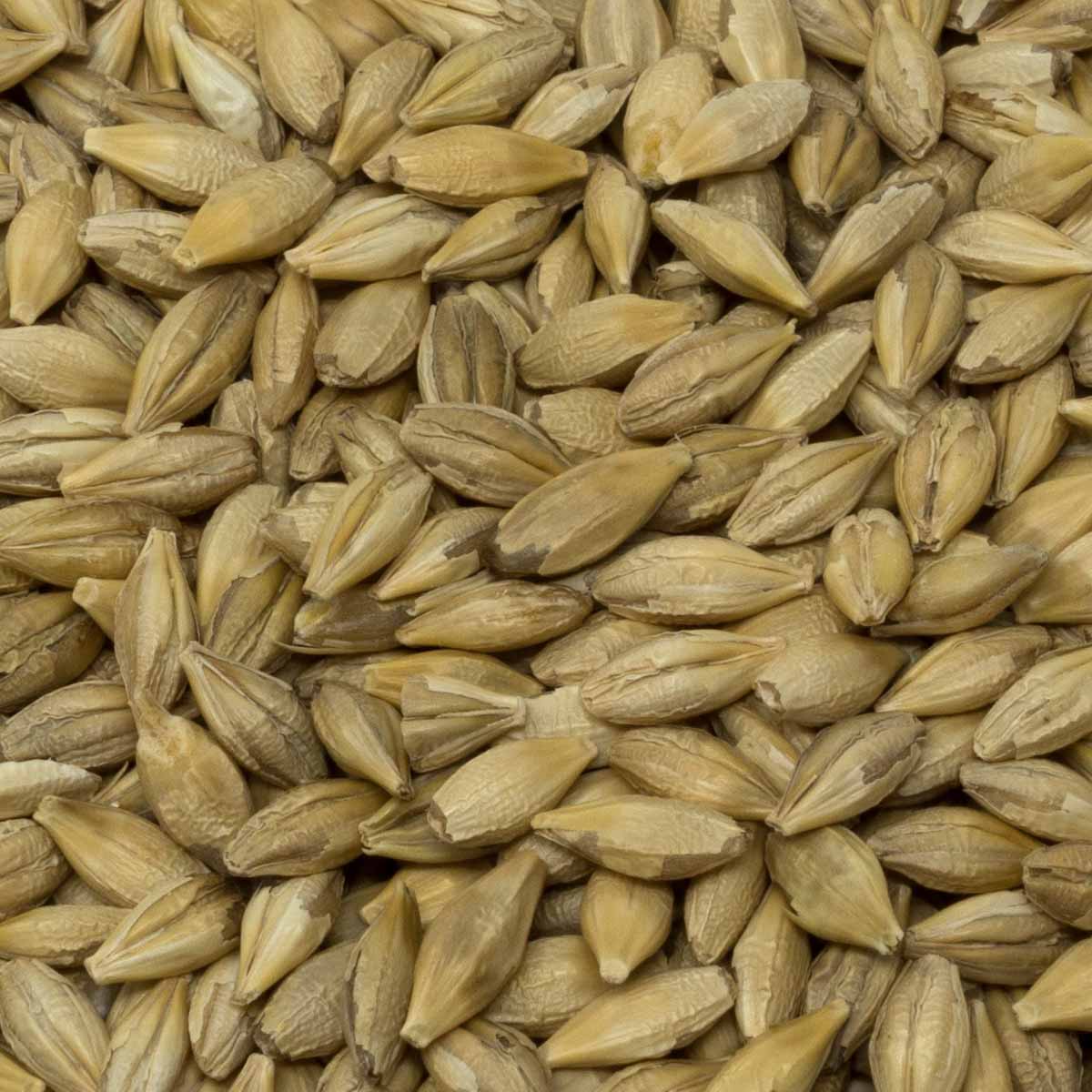 Leimüller Organic Barley Premium 25 kg
