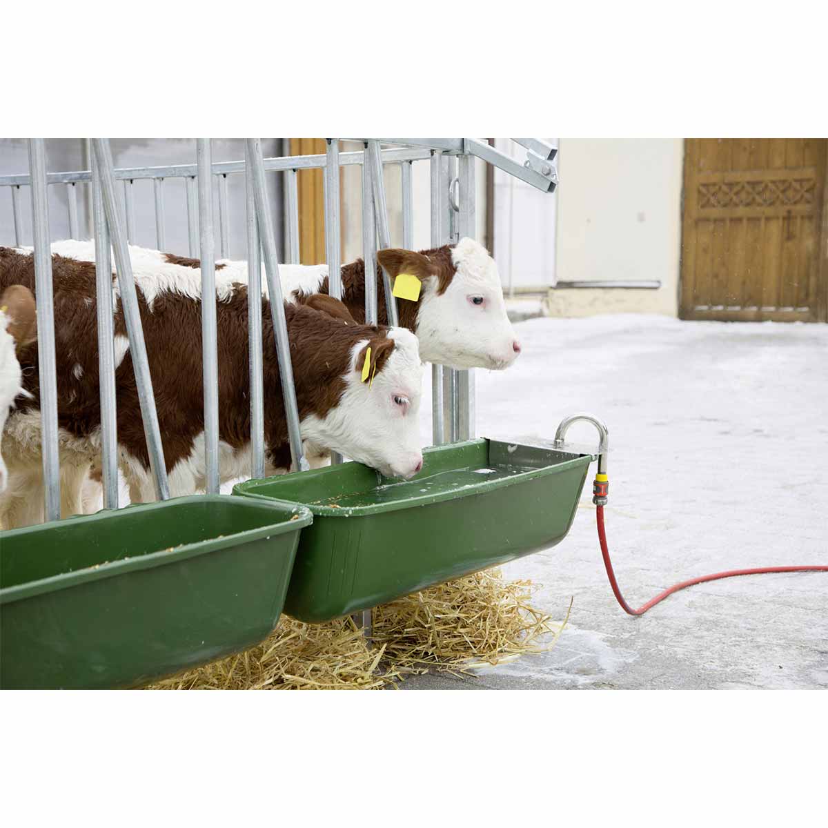 Feed trough long with floater