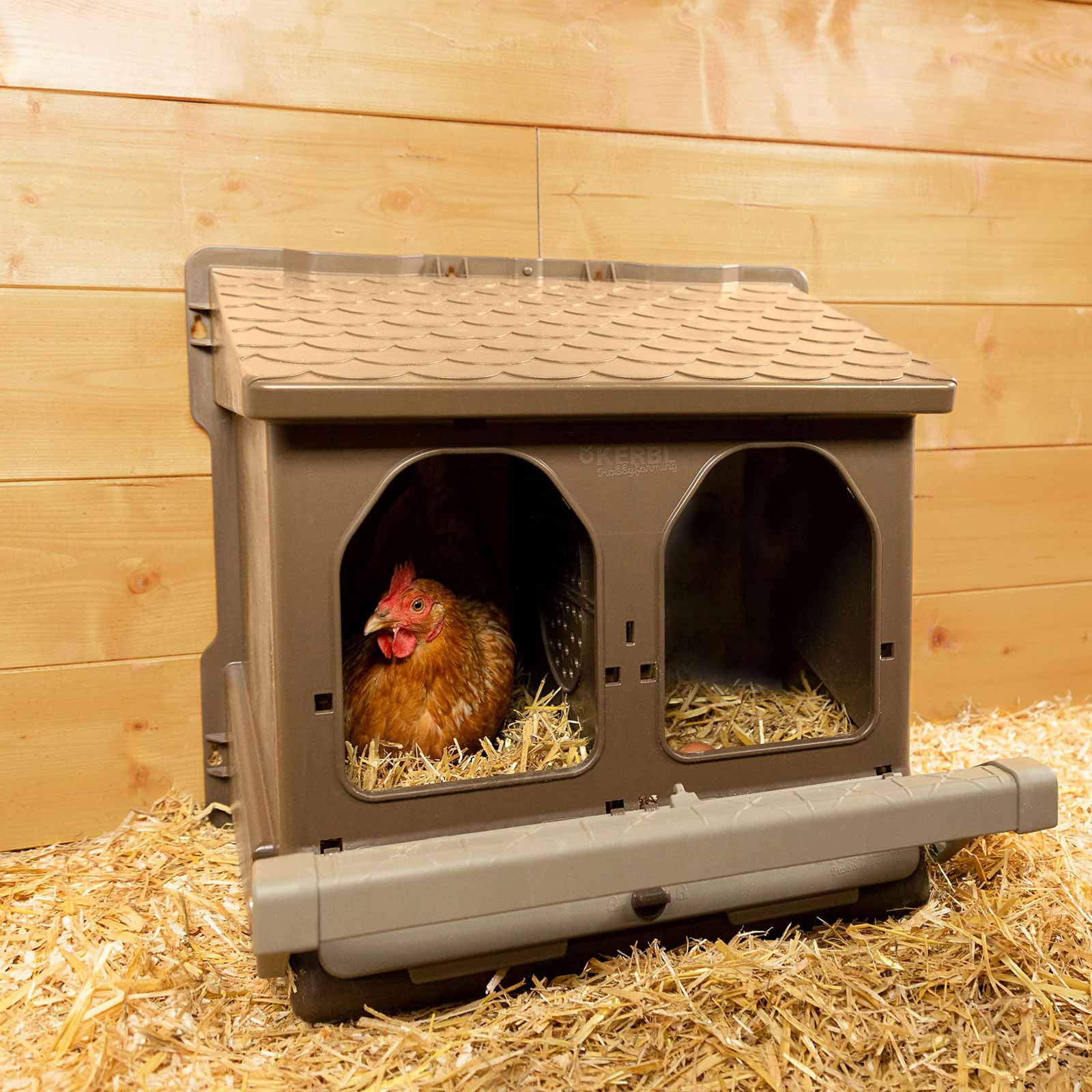 Double Laying Nest for Chickens Recycled Plastic