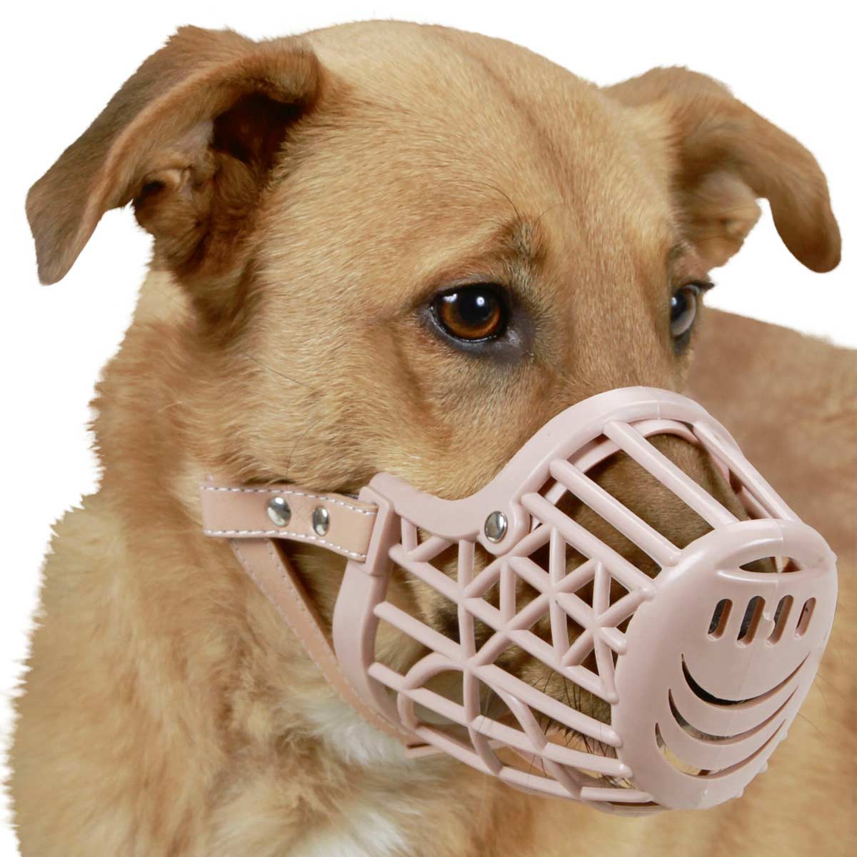 Dog muzzle plastic brown