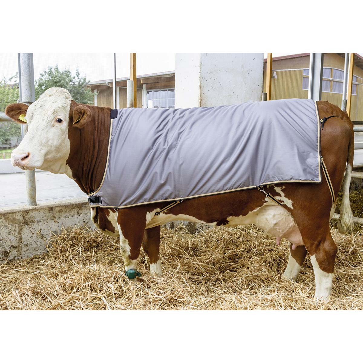 Kerbl Cow blanket for cattle 145 cm