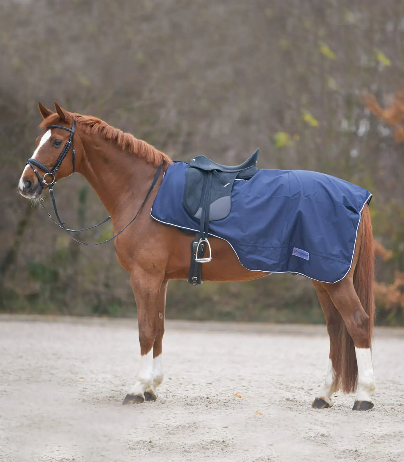 COMFORT Wet Weather Exercise Sheet with Saddle Cutout night blue Pony