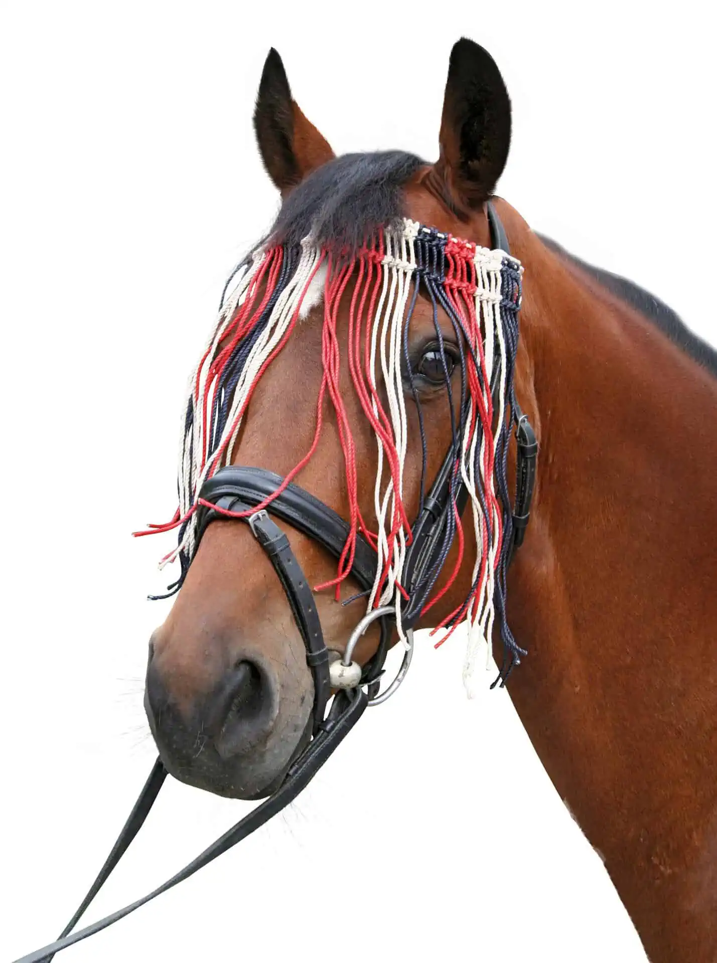 Fly fringe strap pony, made of cotton cords