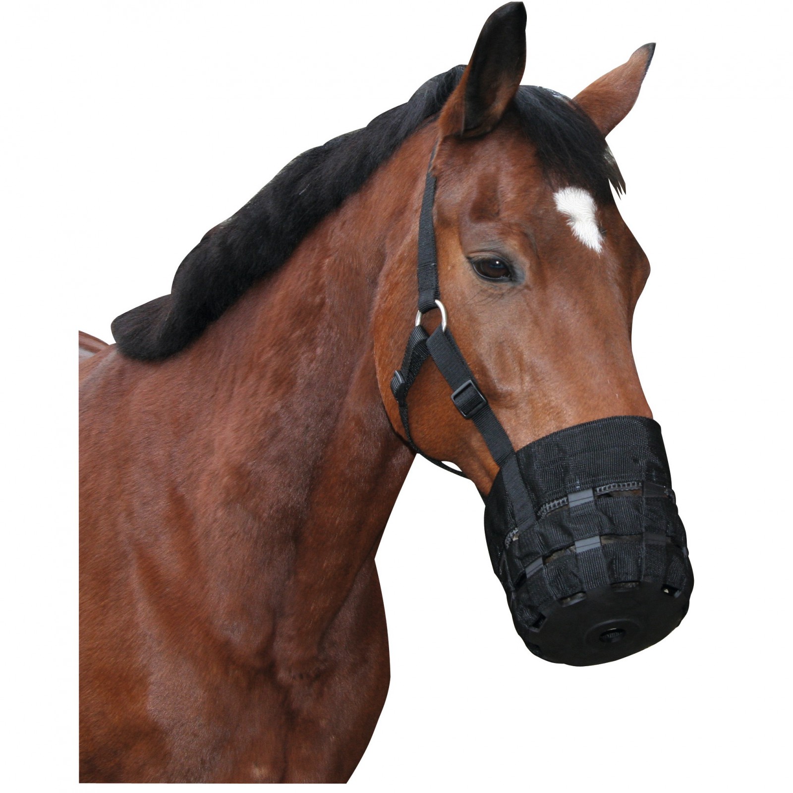 Muzzle with head collar Pony