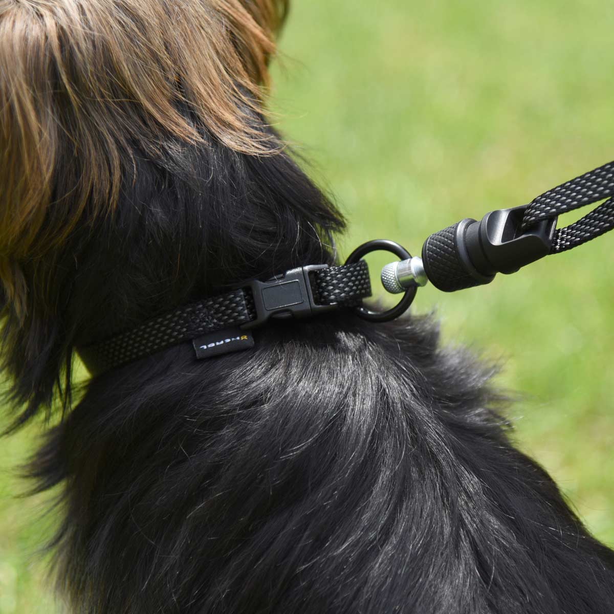 GoLeyGo 2.0 Leash Flat incl. Adapter-Pin S - up to 15 kg black