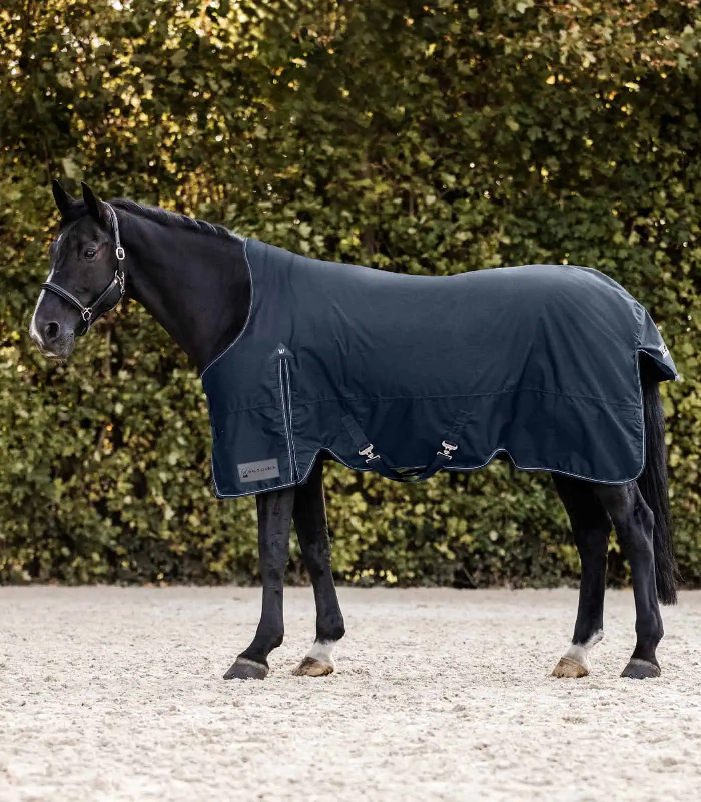 ARCTIC Turnout Rug, High Neck, 100 g night blue 155