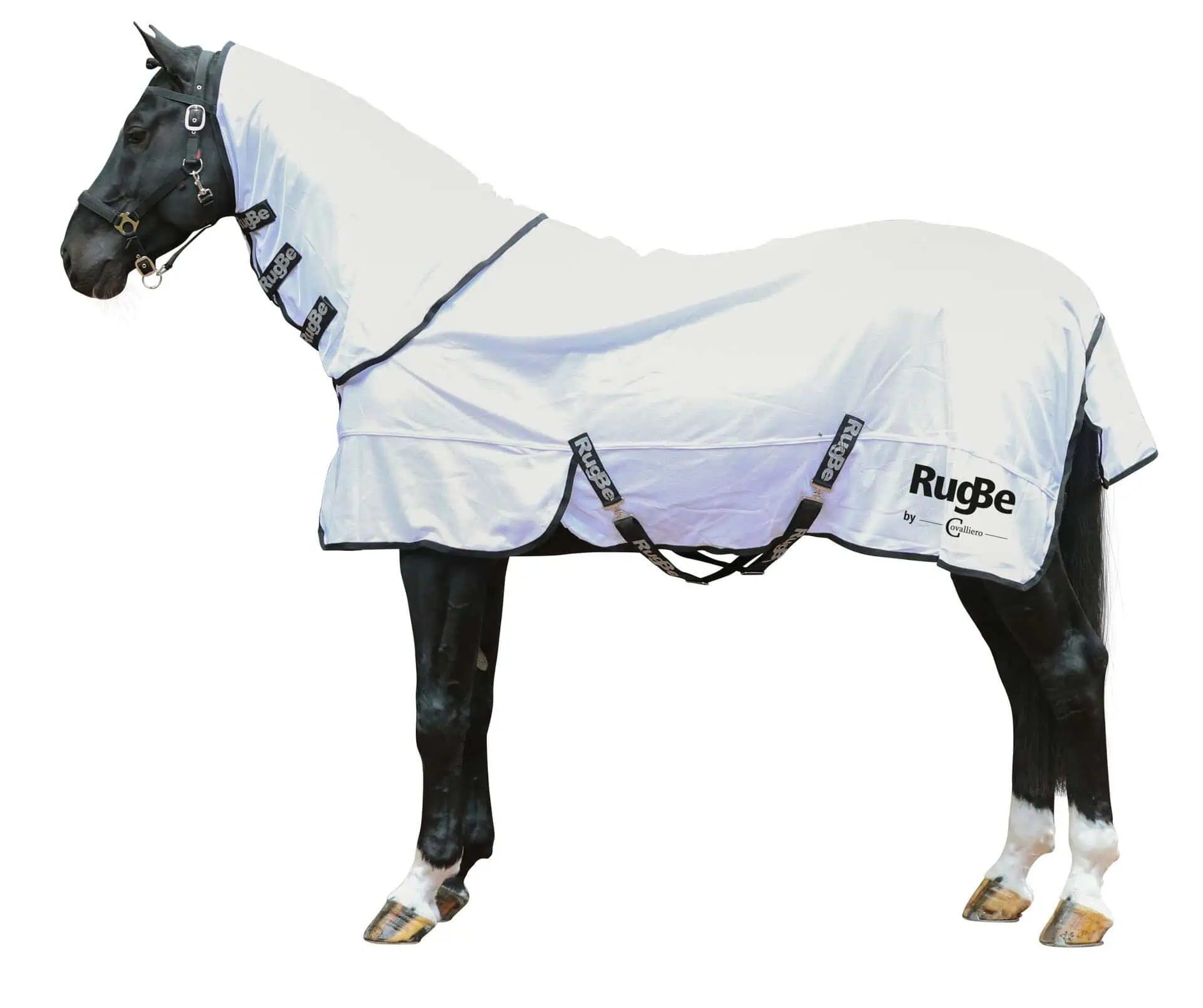 Covalliero RugBe horse Fly blanket SuperFly 105