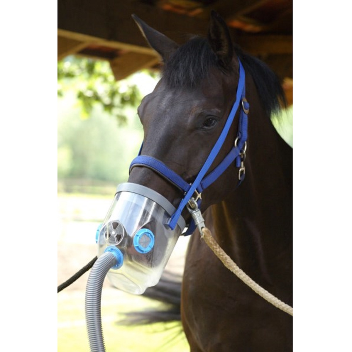 Ultrasound Inhaler Horse AirOne incl. Mask