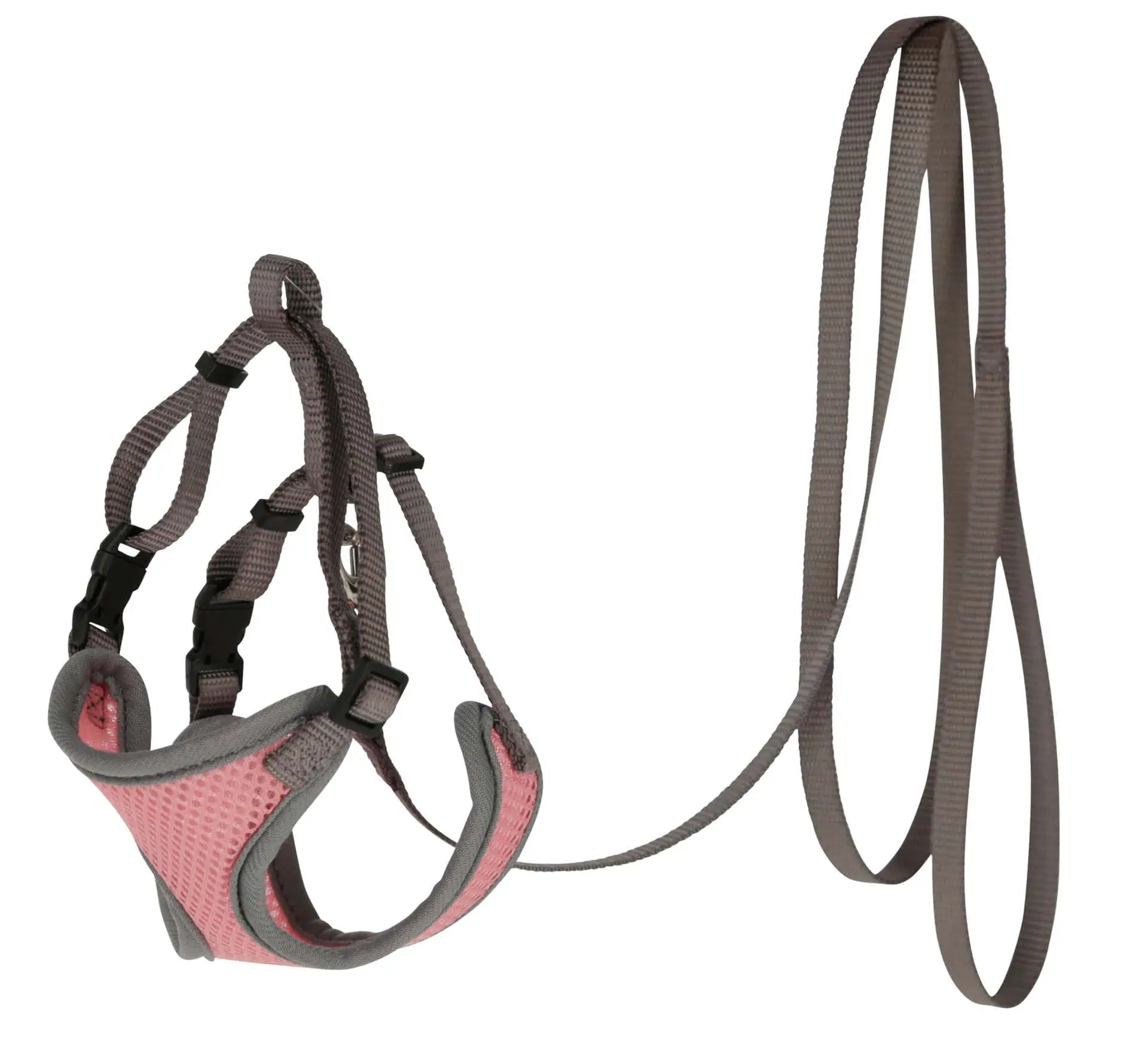 Cat harness with leash 120 cm x 10 mm, coral