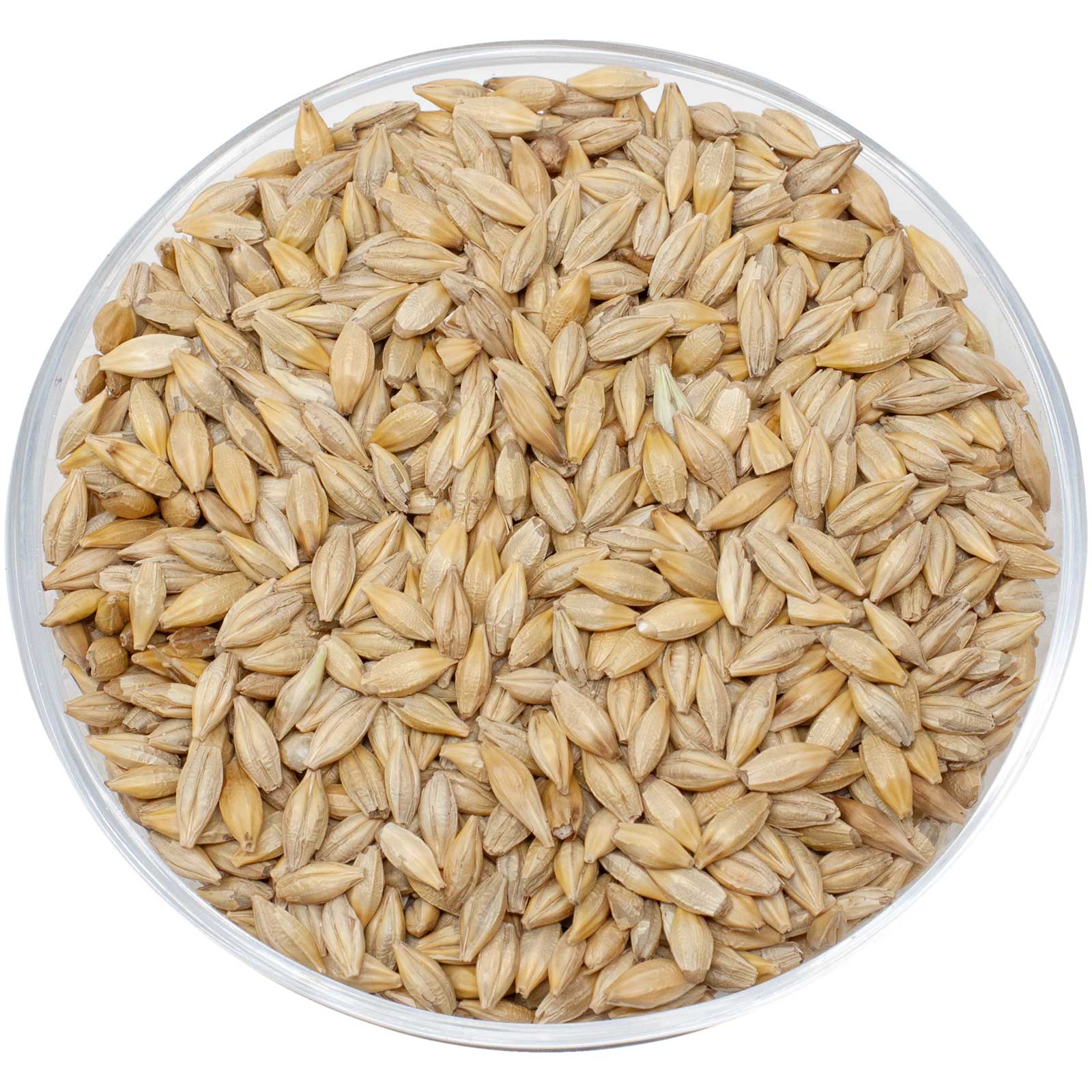 Leimüller Malting Barley 1 kg
