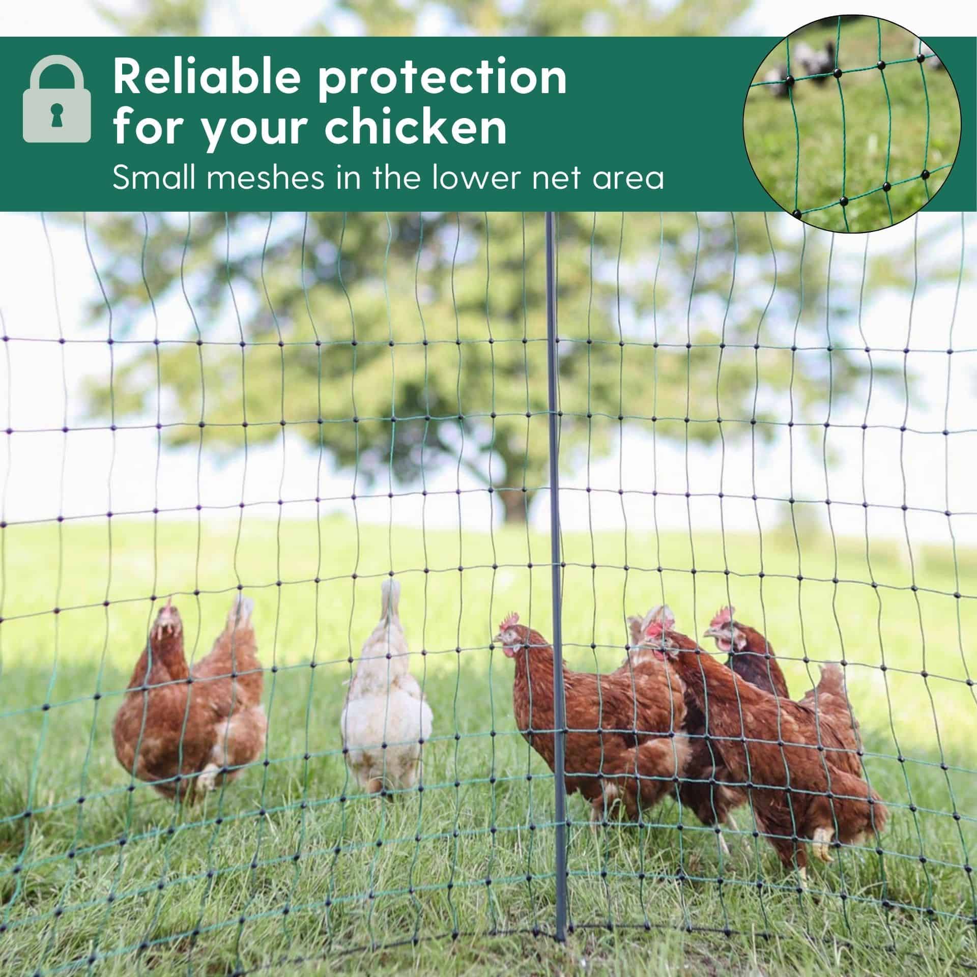Buy electrificable Classic Poultry Fence green online