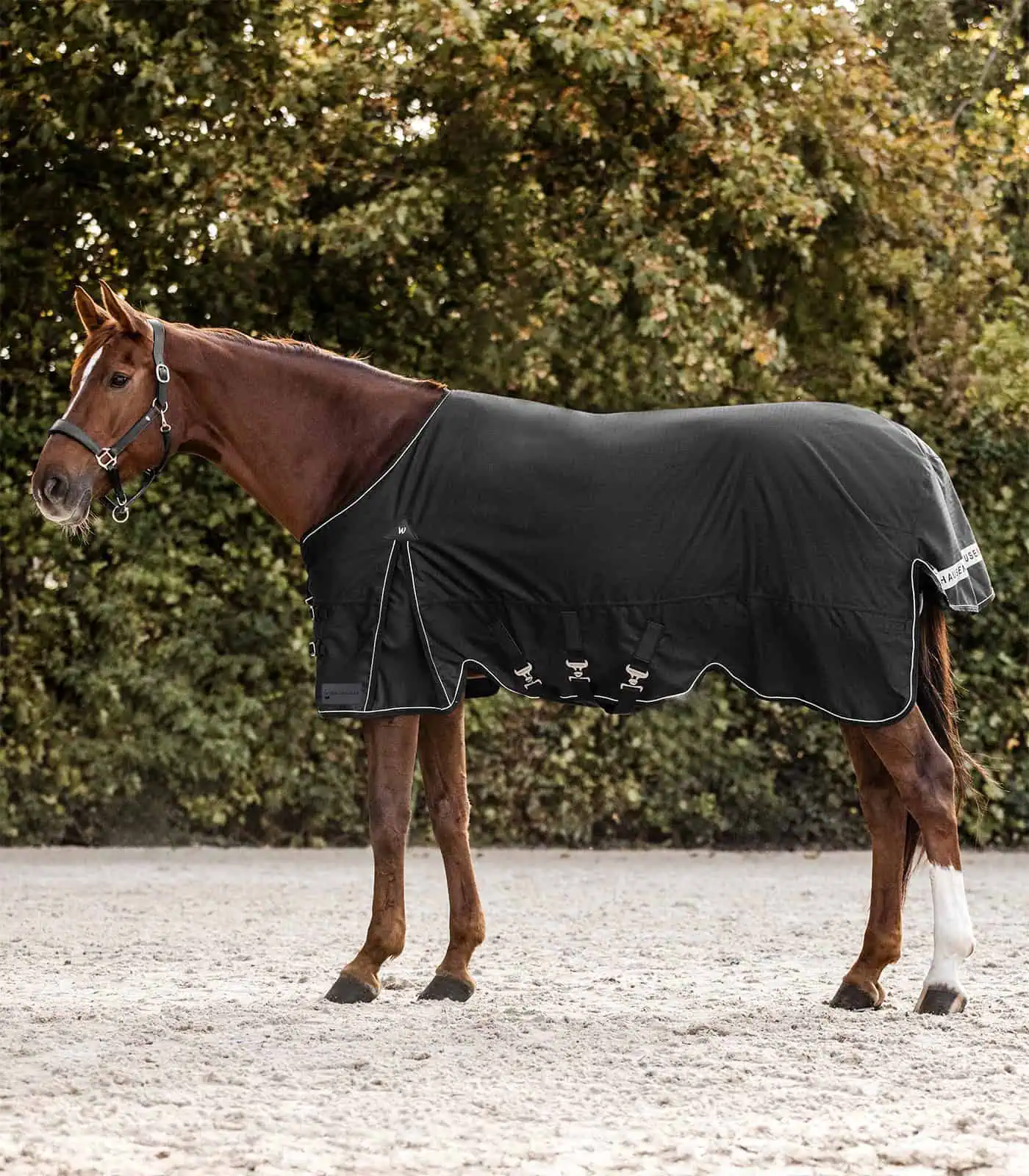 SCANDIC Turnout Rug, 100 g black 125