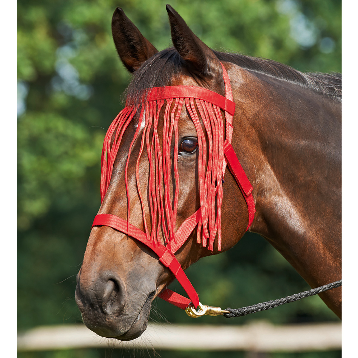 BUSSE Headcollar WEIDE-FRANSEN red FULL