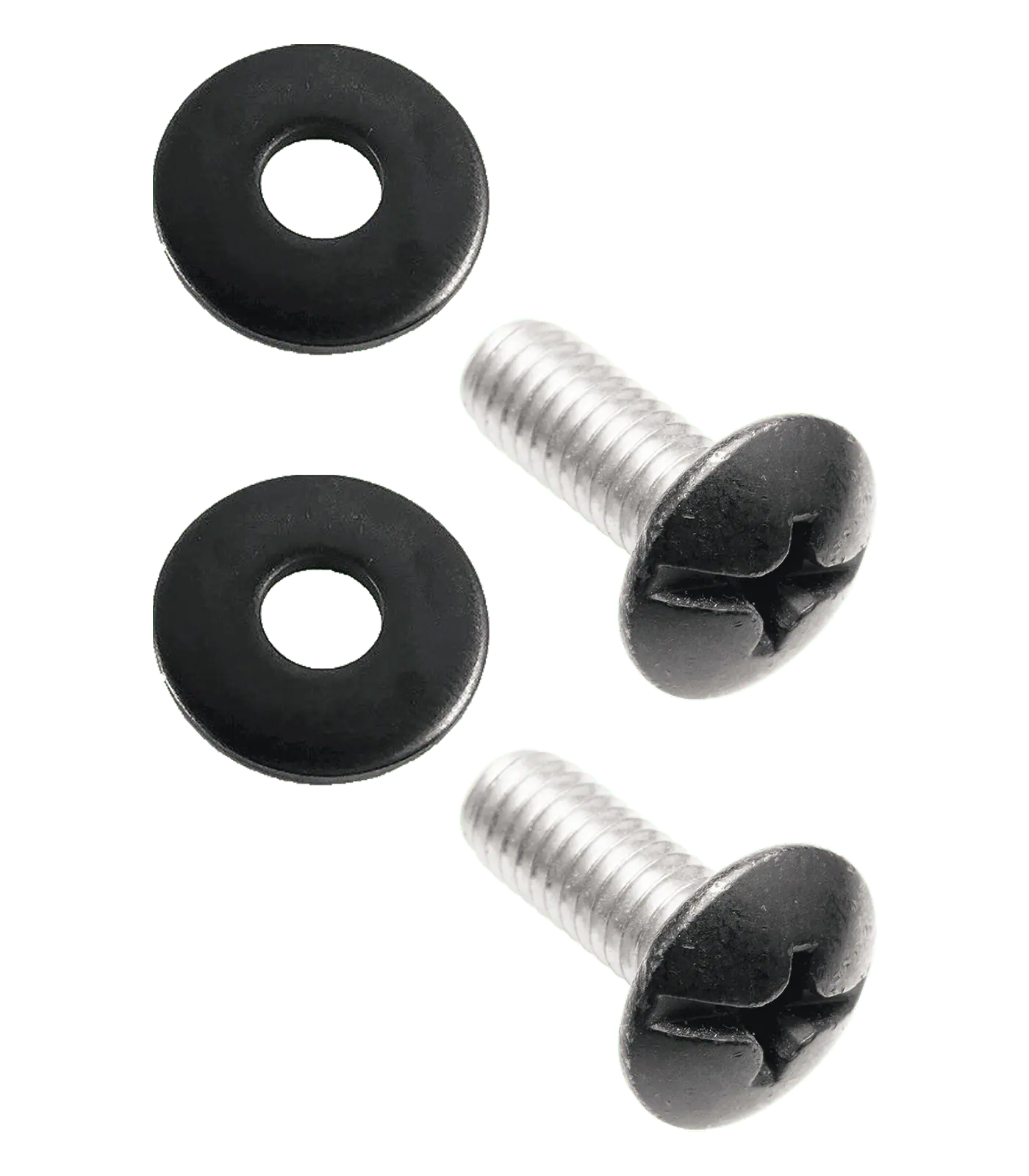 WINTEC chamber screws, pair with washers 