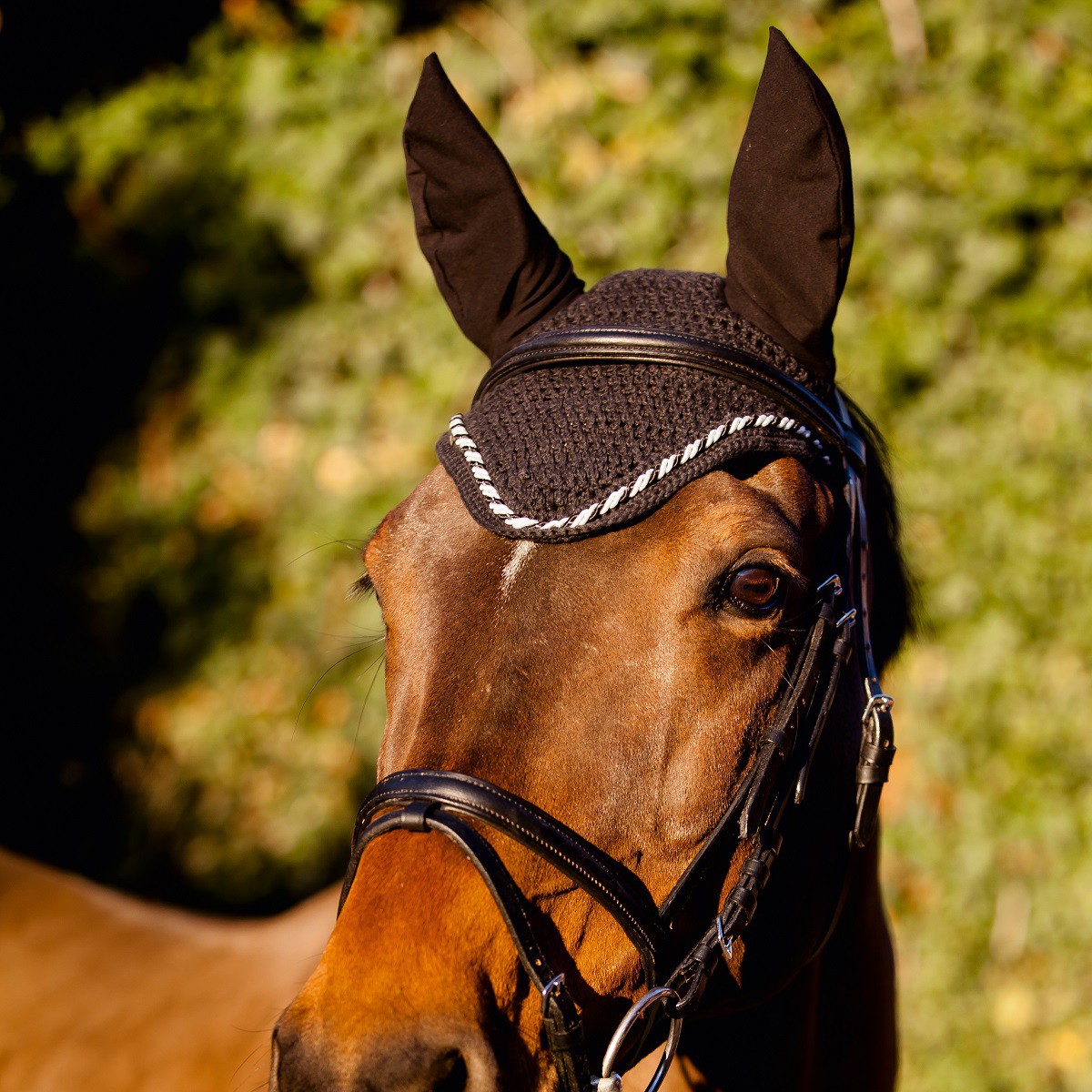 Fly hood, white, with elastic ears black