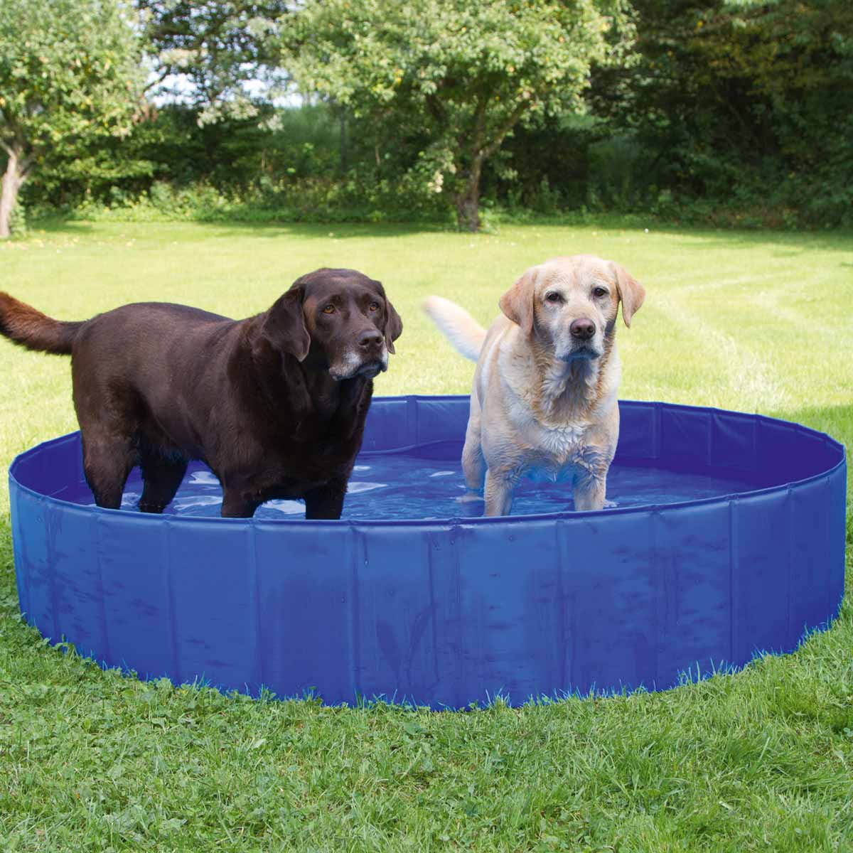 Dog pool Ø80 cm height 20 cm
