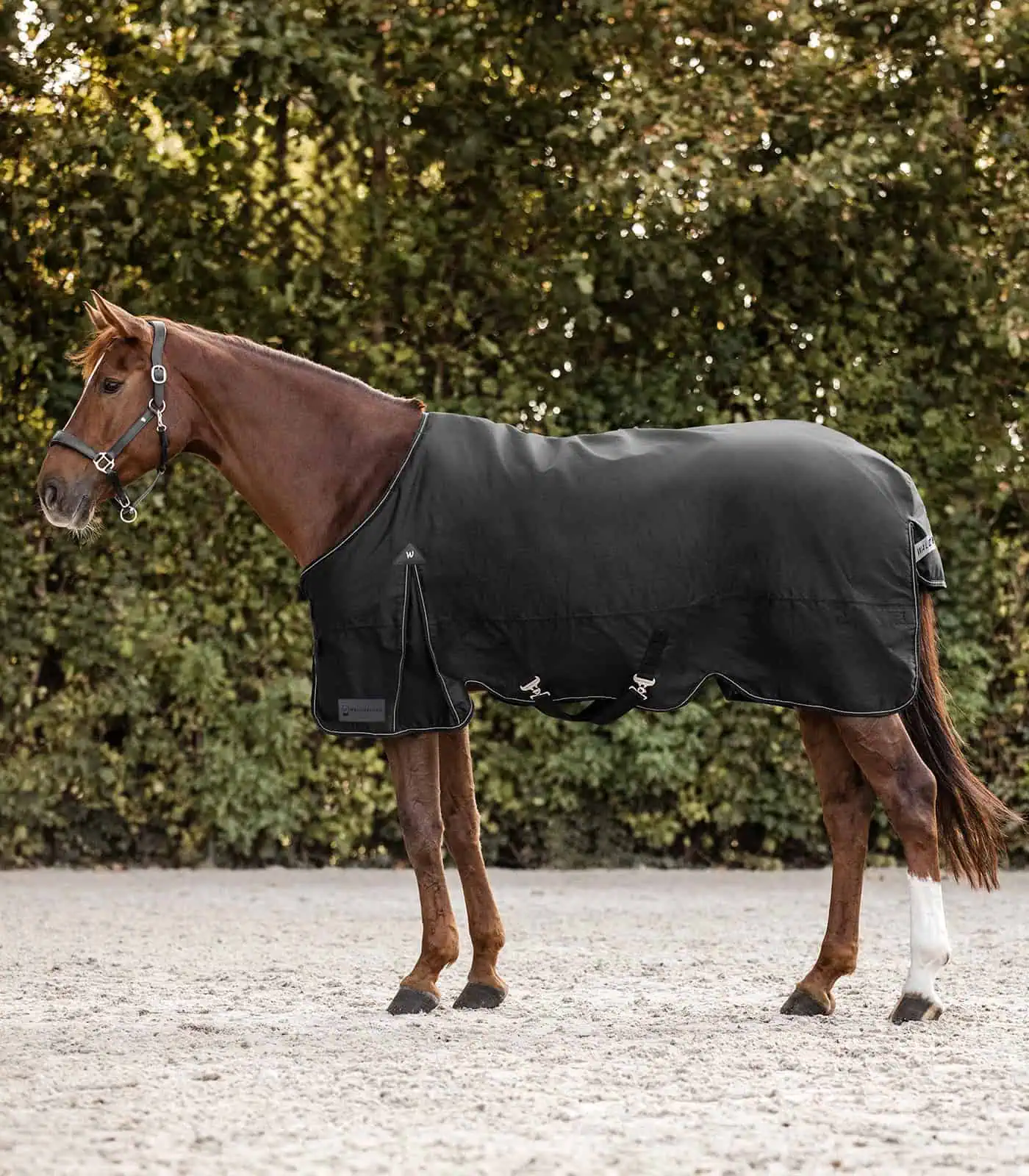 ARCTIC Turnout Rug, 200 g black 115