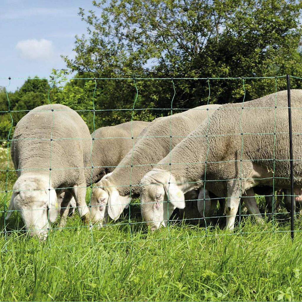 Agrarzone wolf emergency set for sheep DUO 3000 12V/230V, 4,5J, net 500m x 90cm + wire 1000m