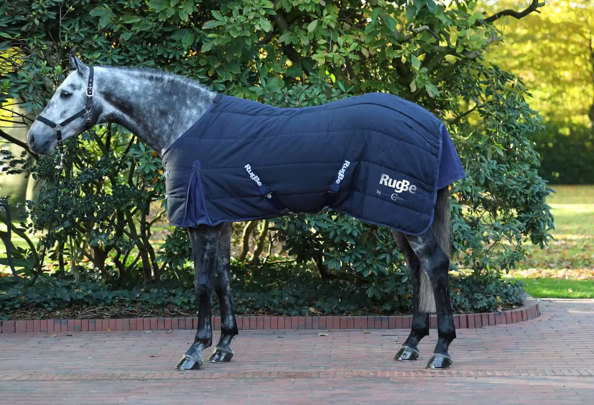 Stable Horse Blkt RugBe Indoor 115 cm, blue