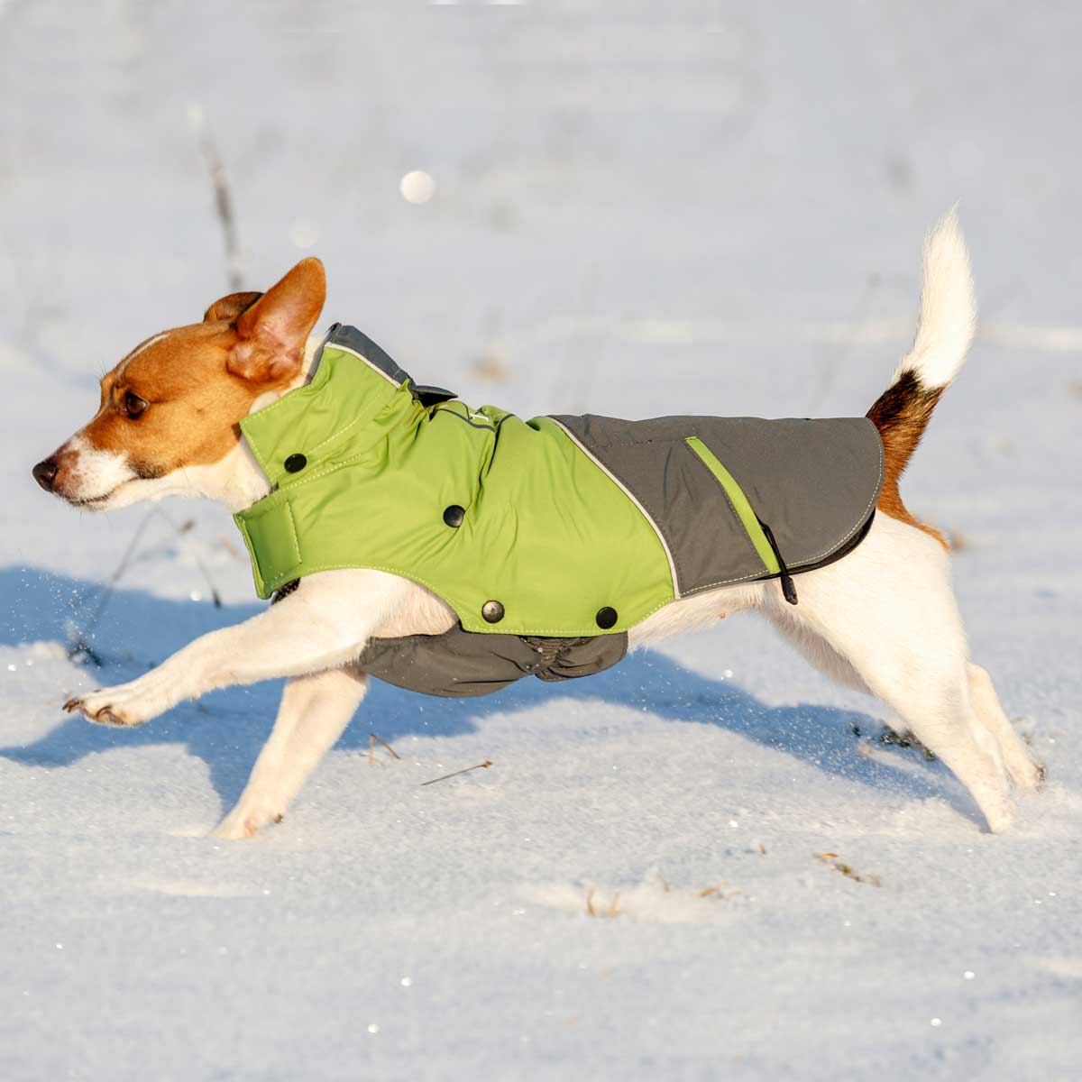 Outdoor Dog Coat Vancouver green/grey, 35 cm