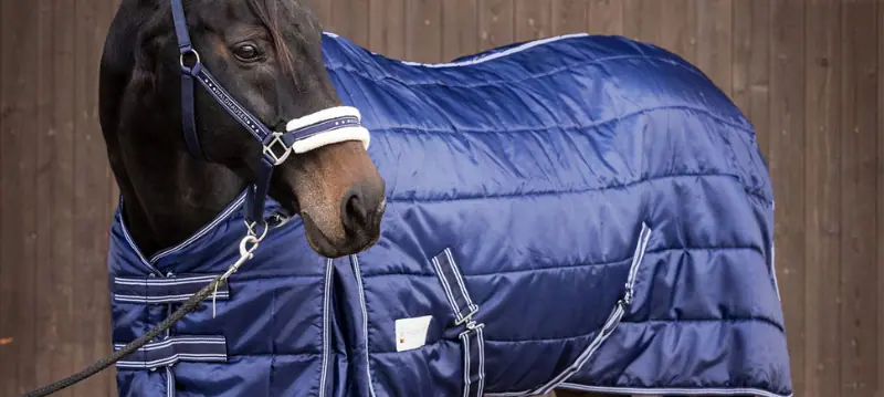 Stable Blanket