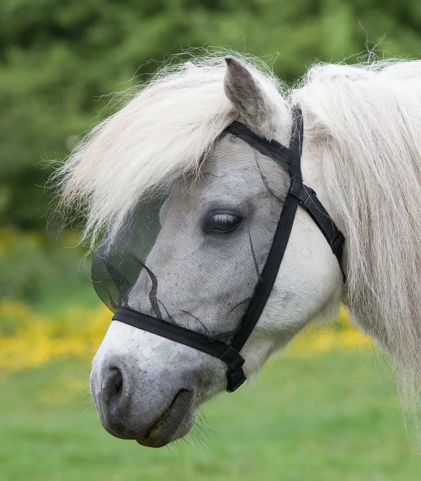 Anti-Fly Bonnet, without ears black Pony